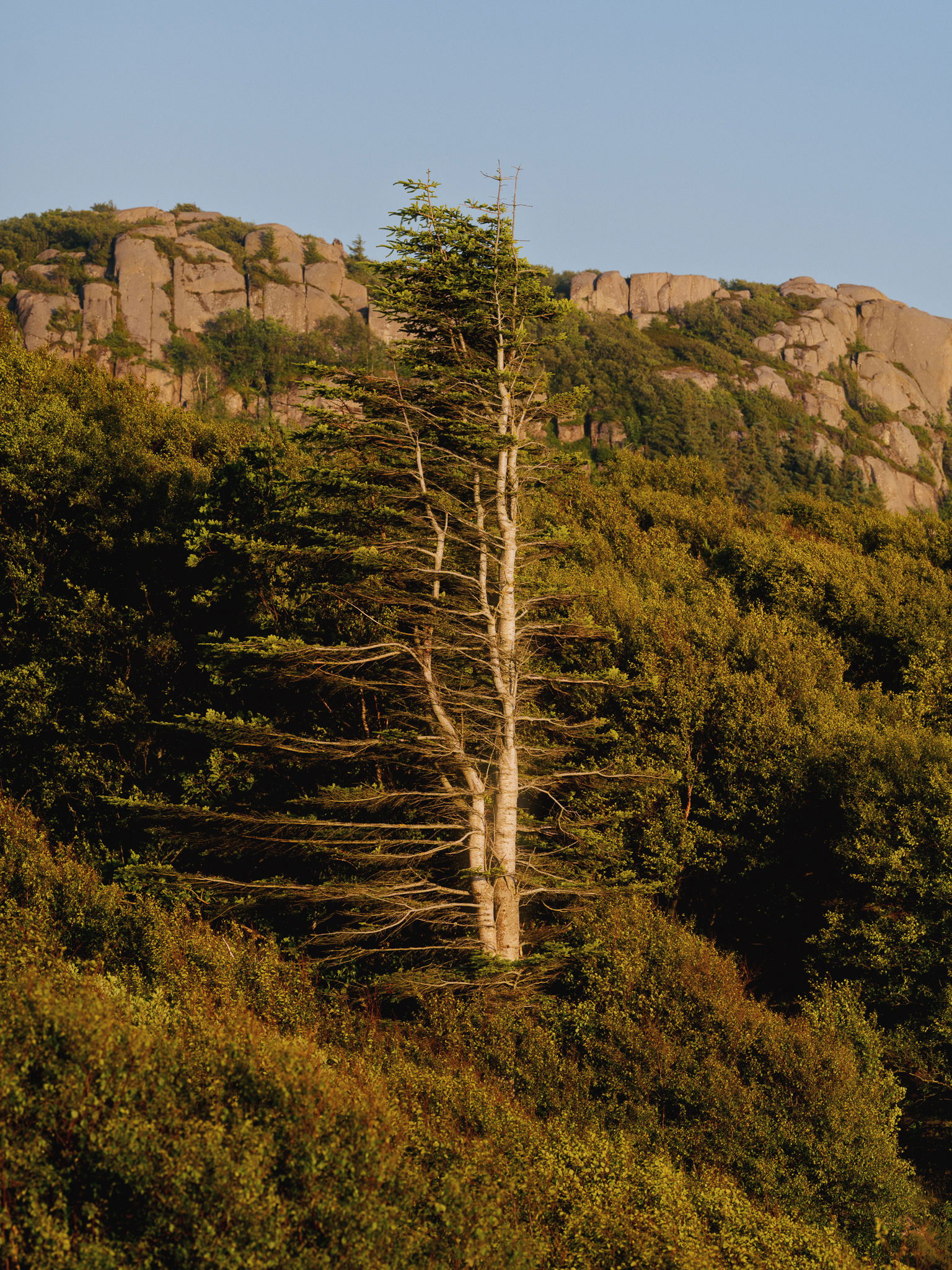 Hamran Sjoneviga photo Einar Aslaksen 2054 web