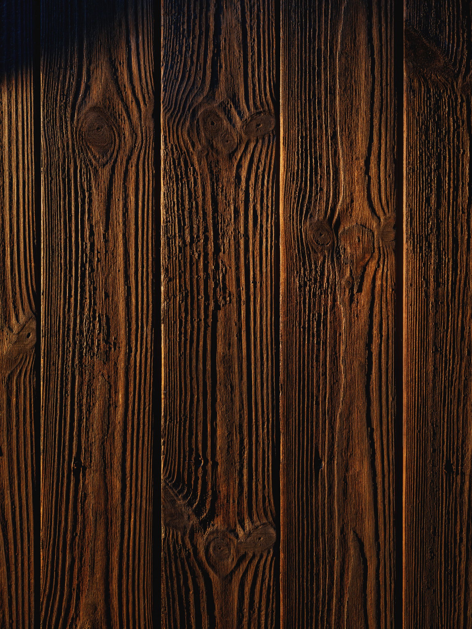 Hamran Sjoneviga photo Einar Aslaksen 2098 web