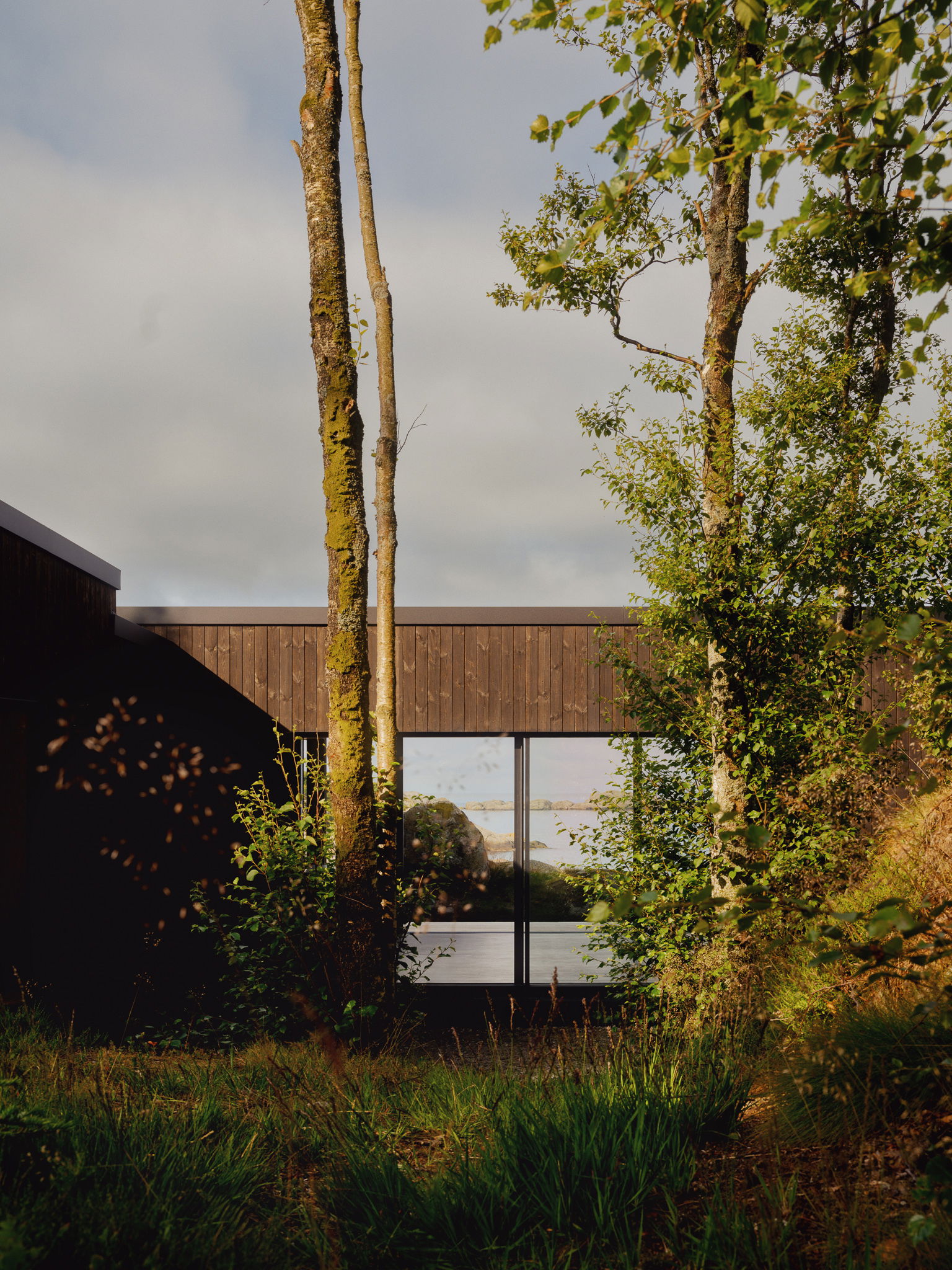 Hamran Sjoneviga photo Einar Aslaksen 2192 web