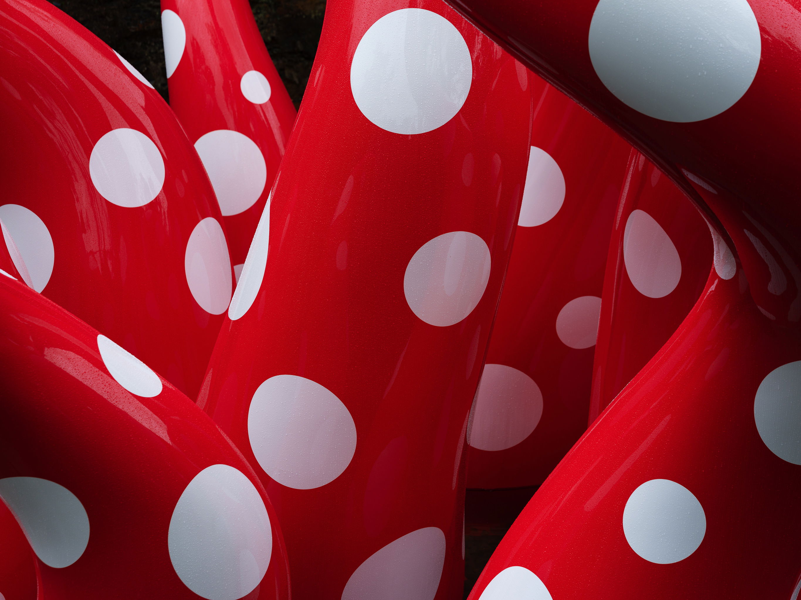 Kistefos Museet EA Yayoi Kusama 0001 100