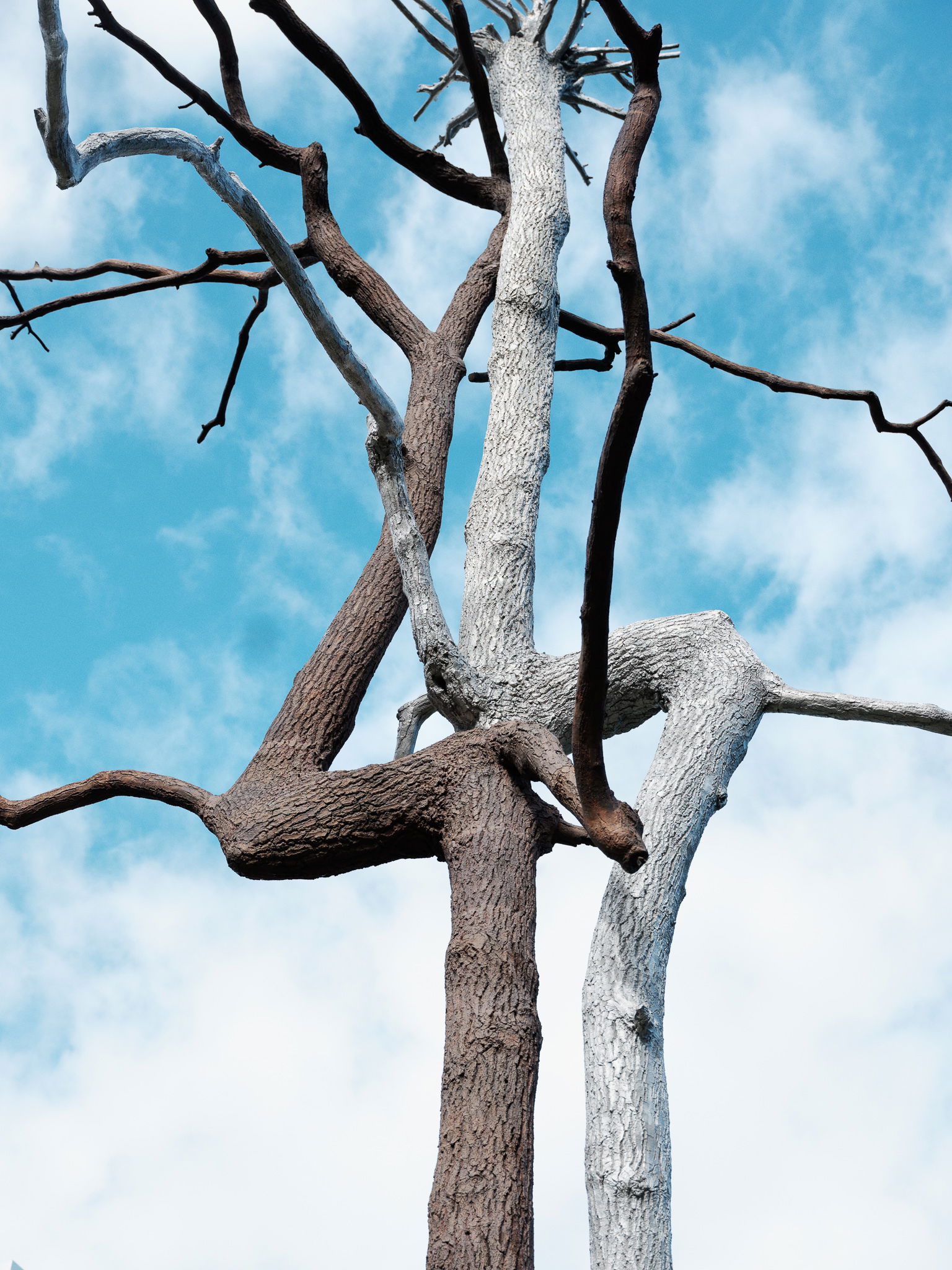 Kistefos EA Giuseppe Penone Identity19983