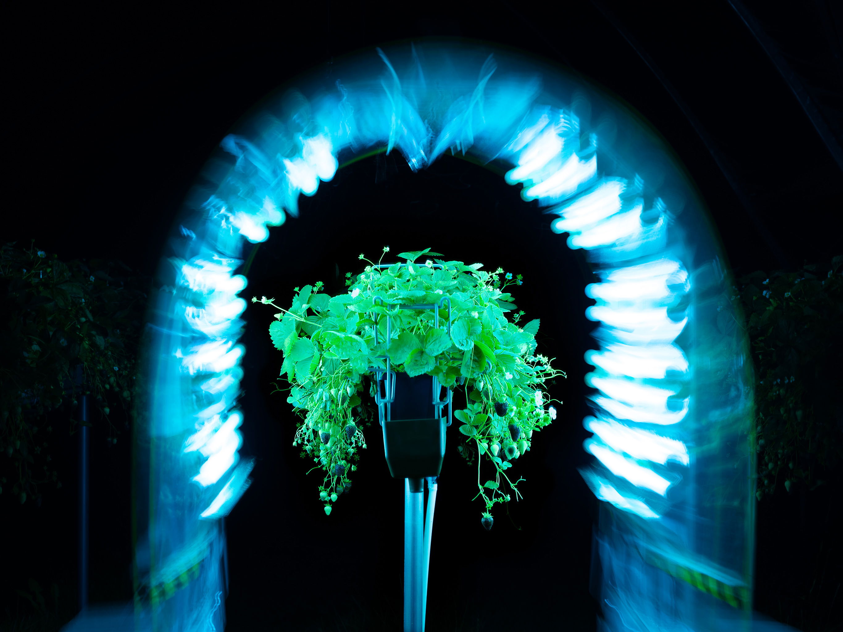 Innovasjon Norge EA t Saga Robotics 5264 web