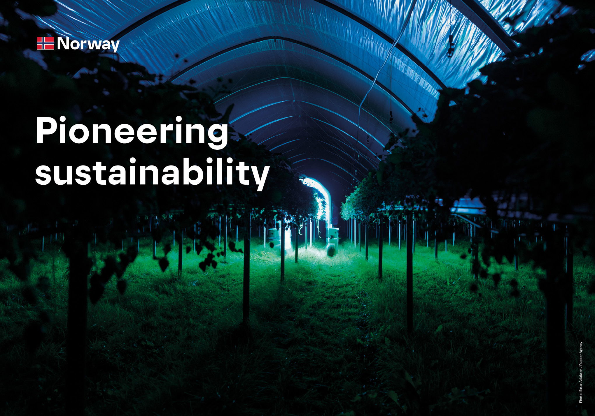 Plakater Merkevaren Norge 4