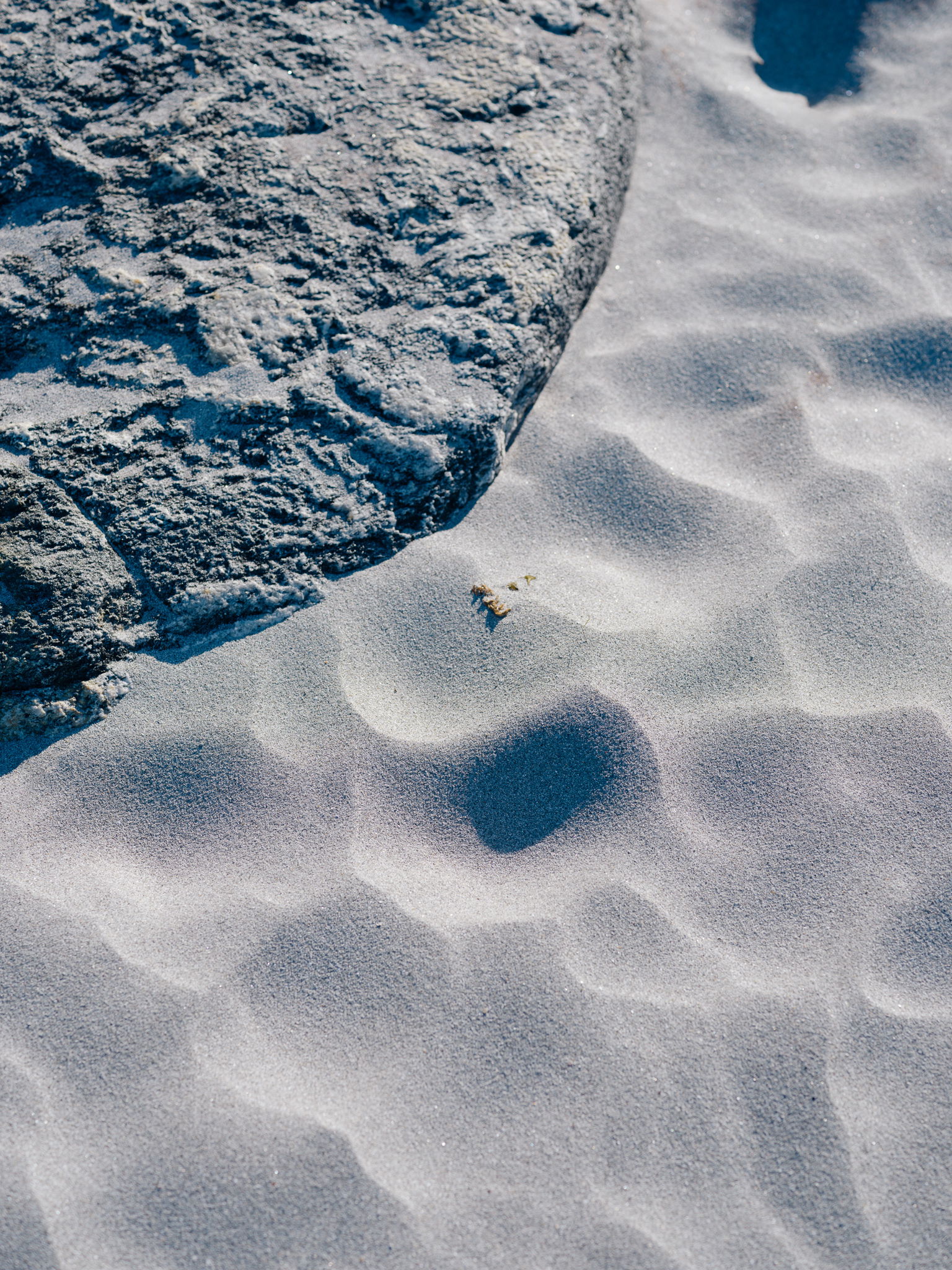 Polestar Drive MH Photo Einar Aslaksen 00827 web 2048px Web 2