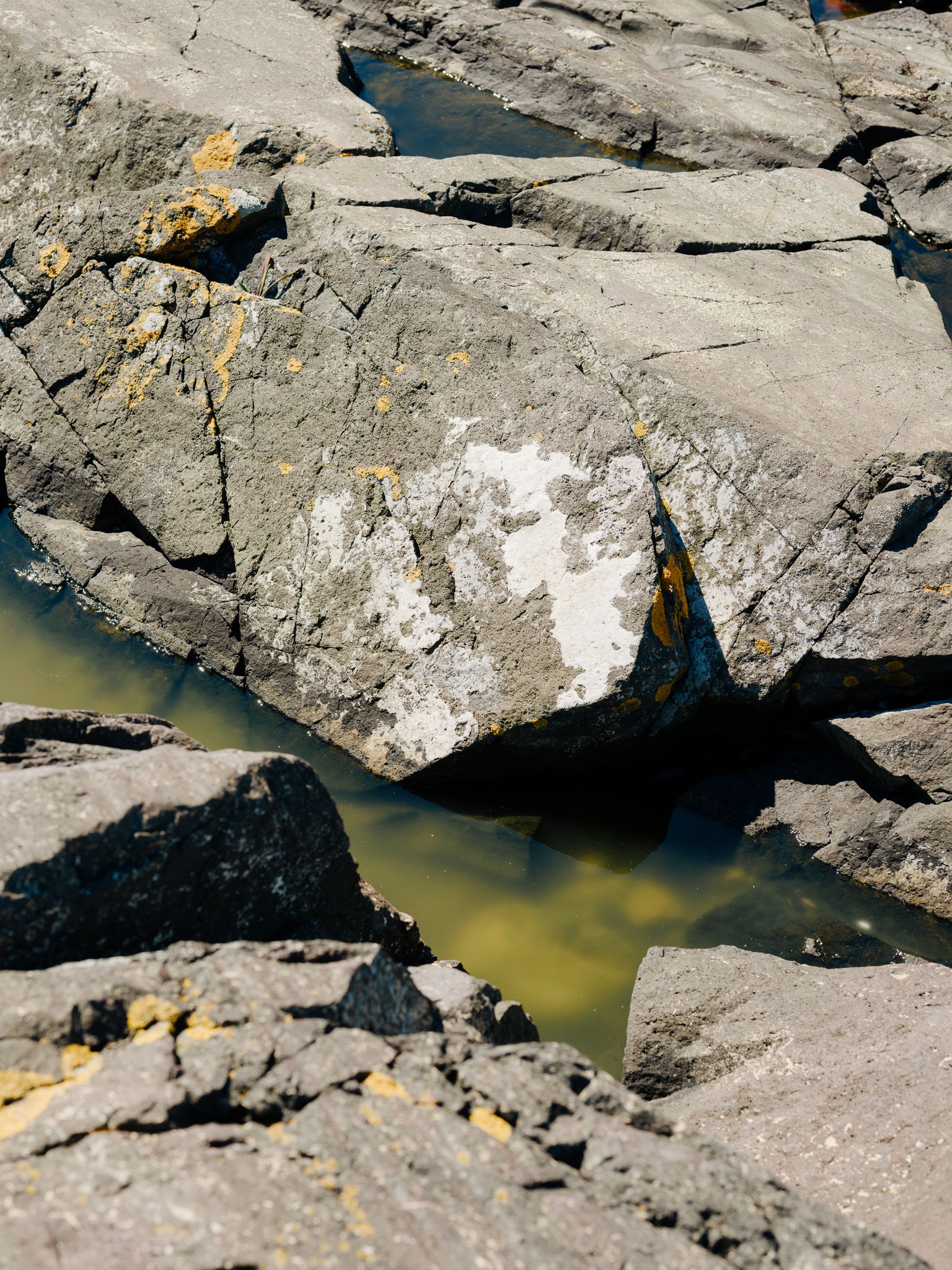 Vogue Celine Aagaard Saltstein photo Einar Aslaksen 6422 web