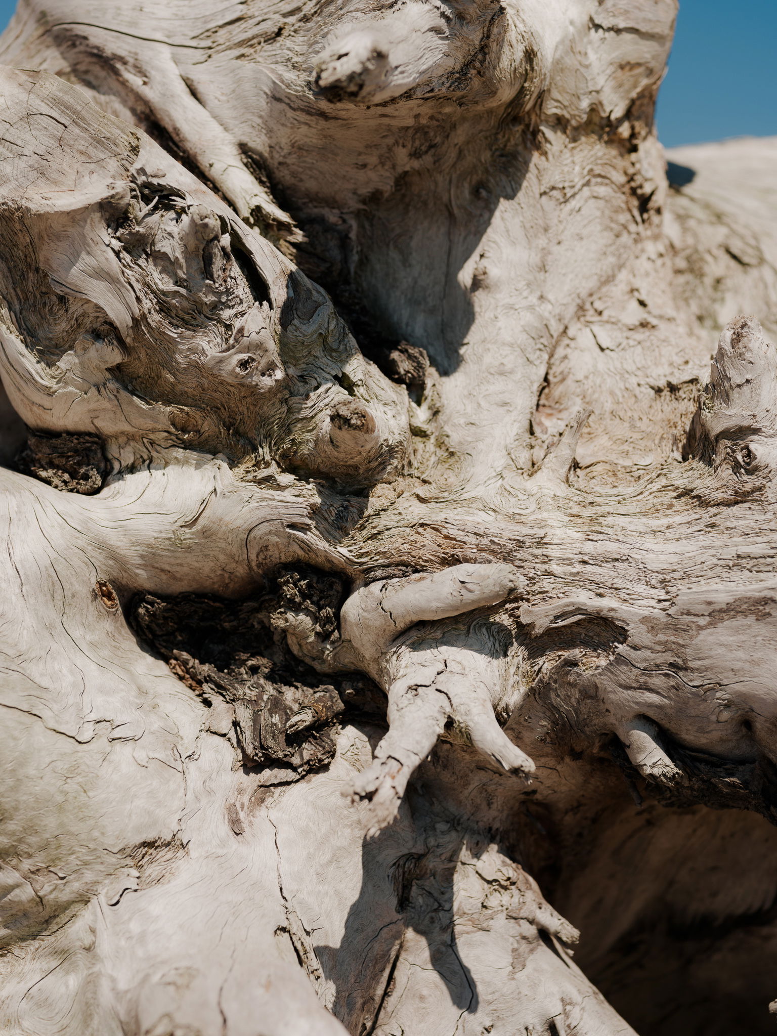 Vogue Celine Aagaard Saltstein photo Einar Aslaksen 6581 web