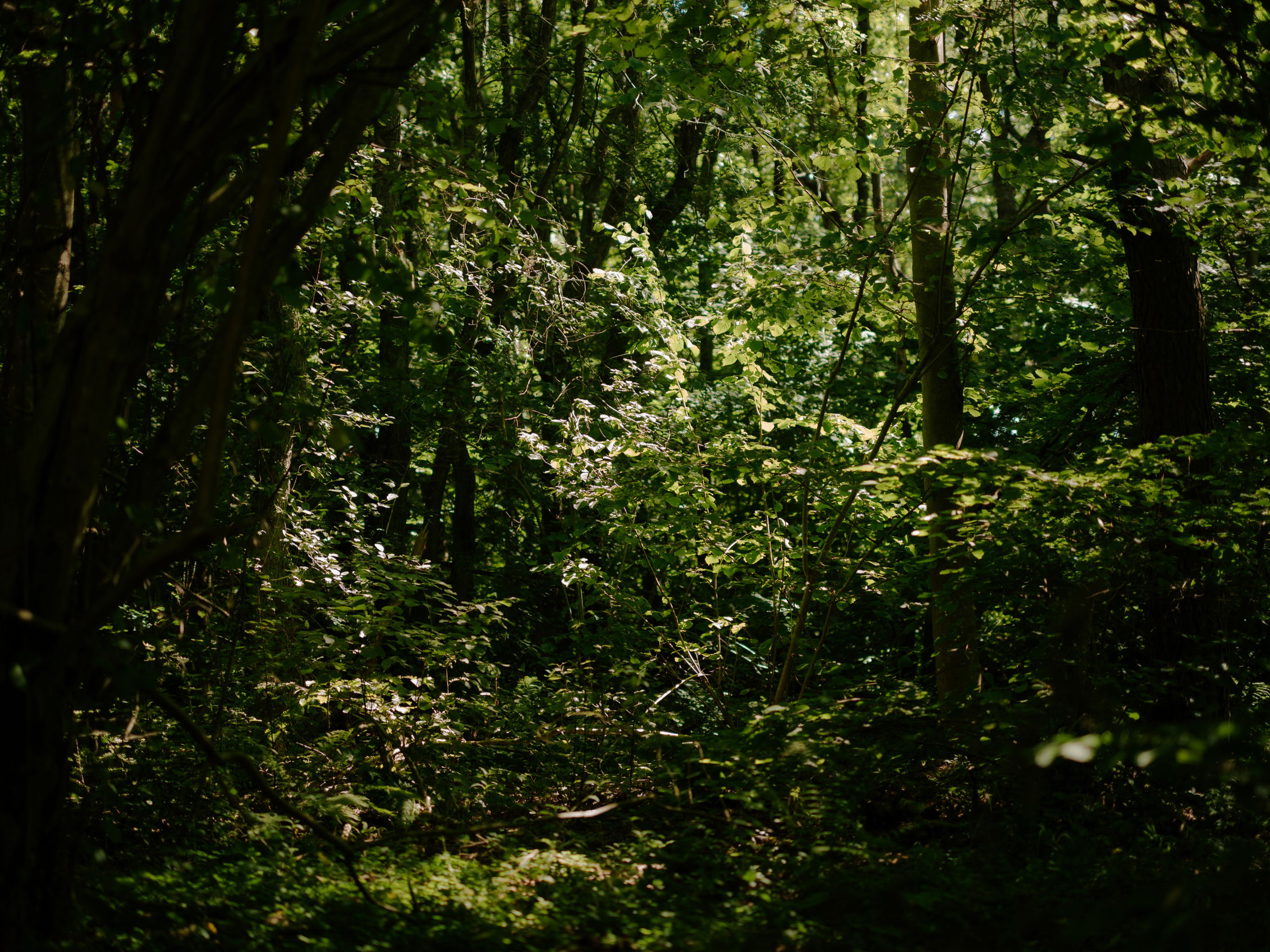 Vogue Celine Aagaard Saltstein photo Einar Aslaksen 6643 web