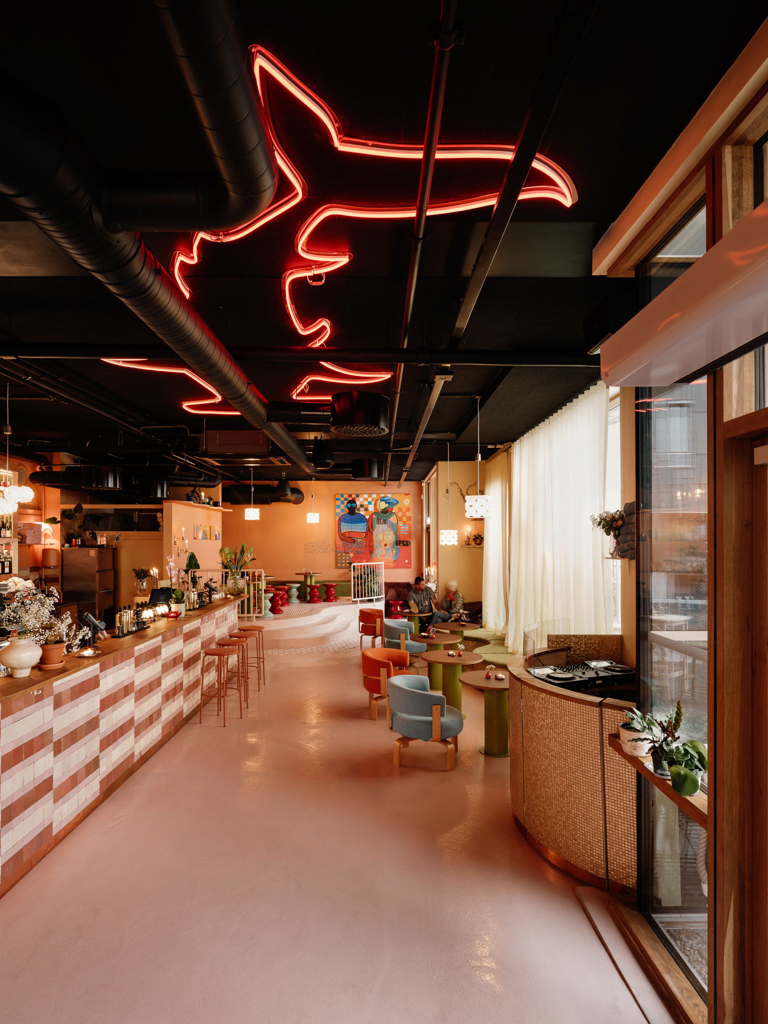 012 Hammerhai photo Einar Aslaksen 109 web 2048px Web 2