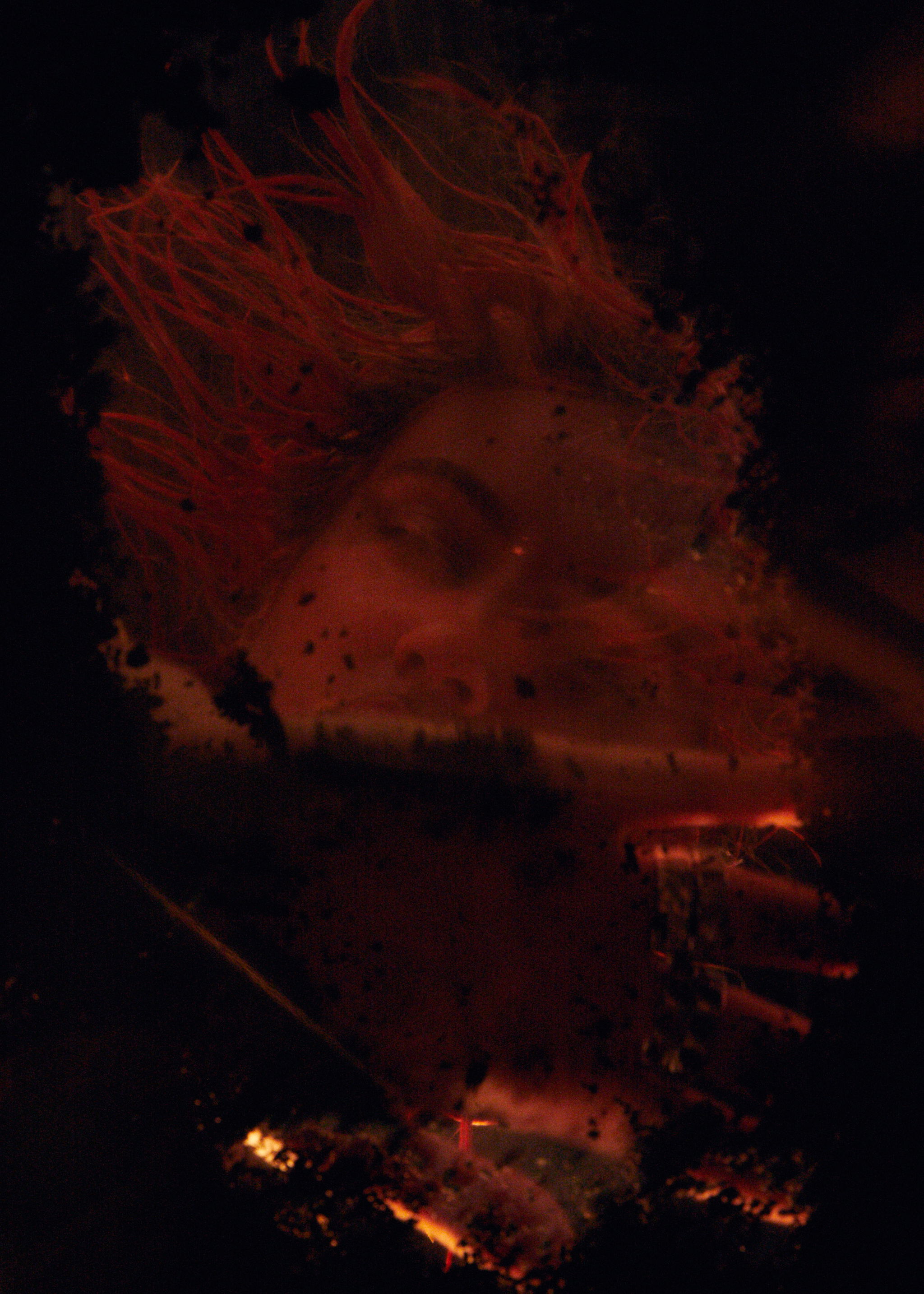 REVS Magazine Truth Be Told 234 WEB