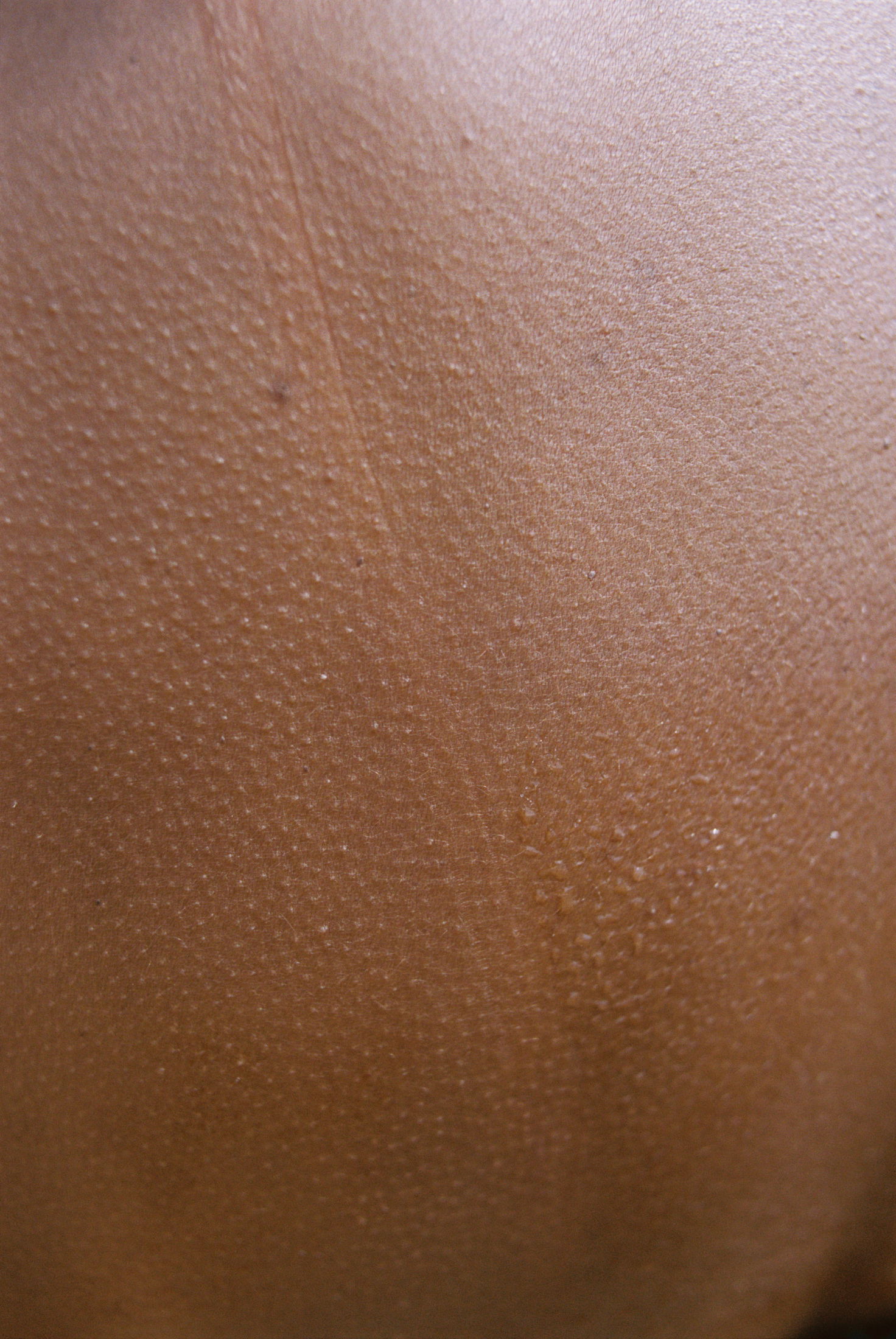 Inntil kampanjebilder leikanger web 14