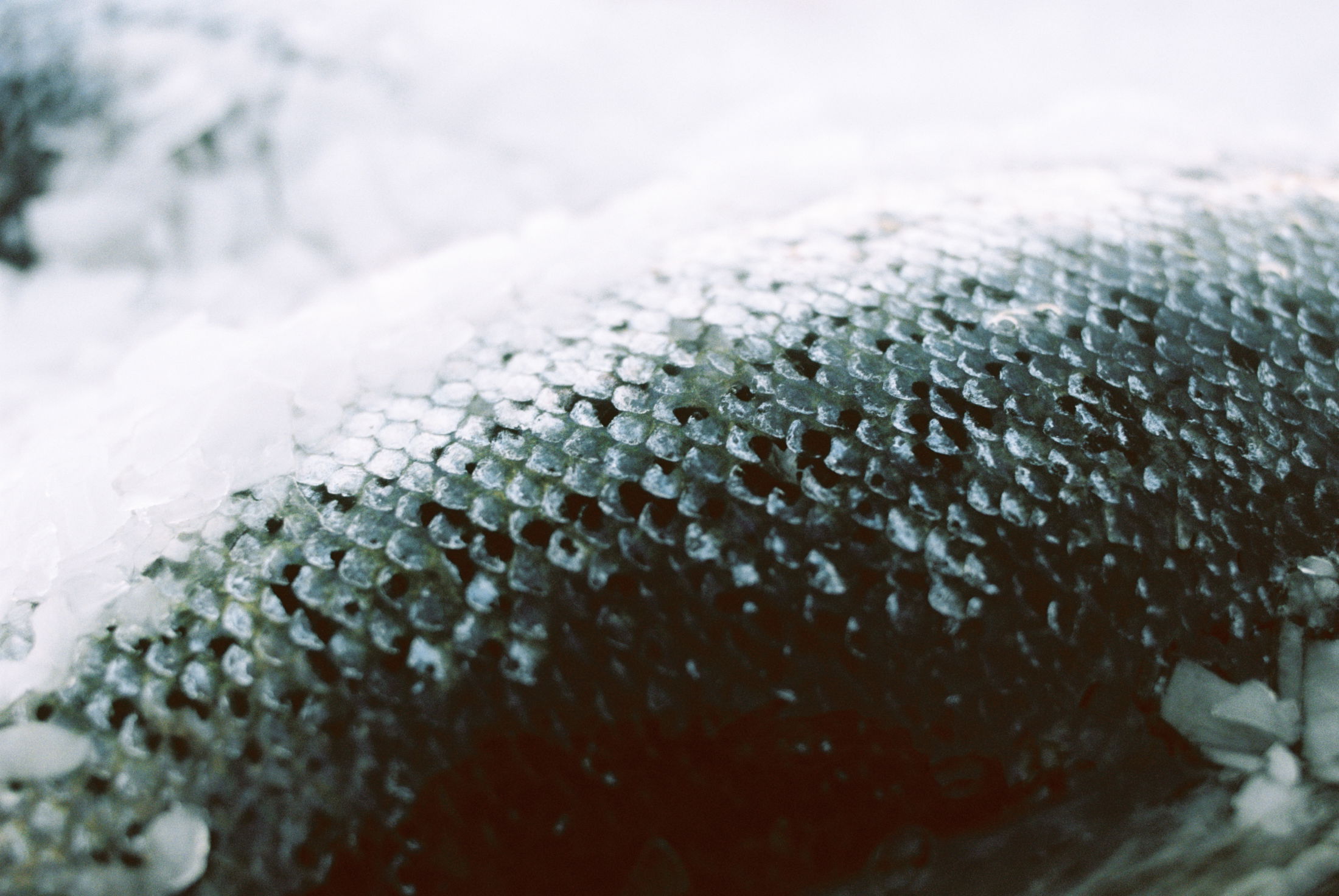 Nova Sea Leikanger web 0006