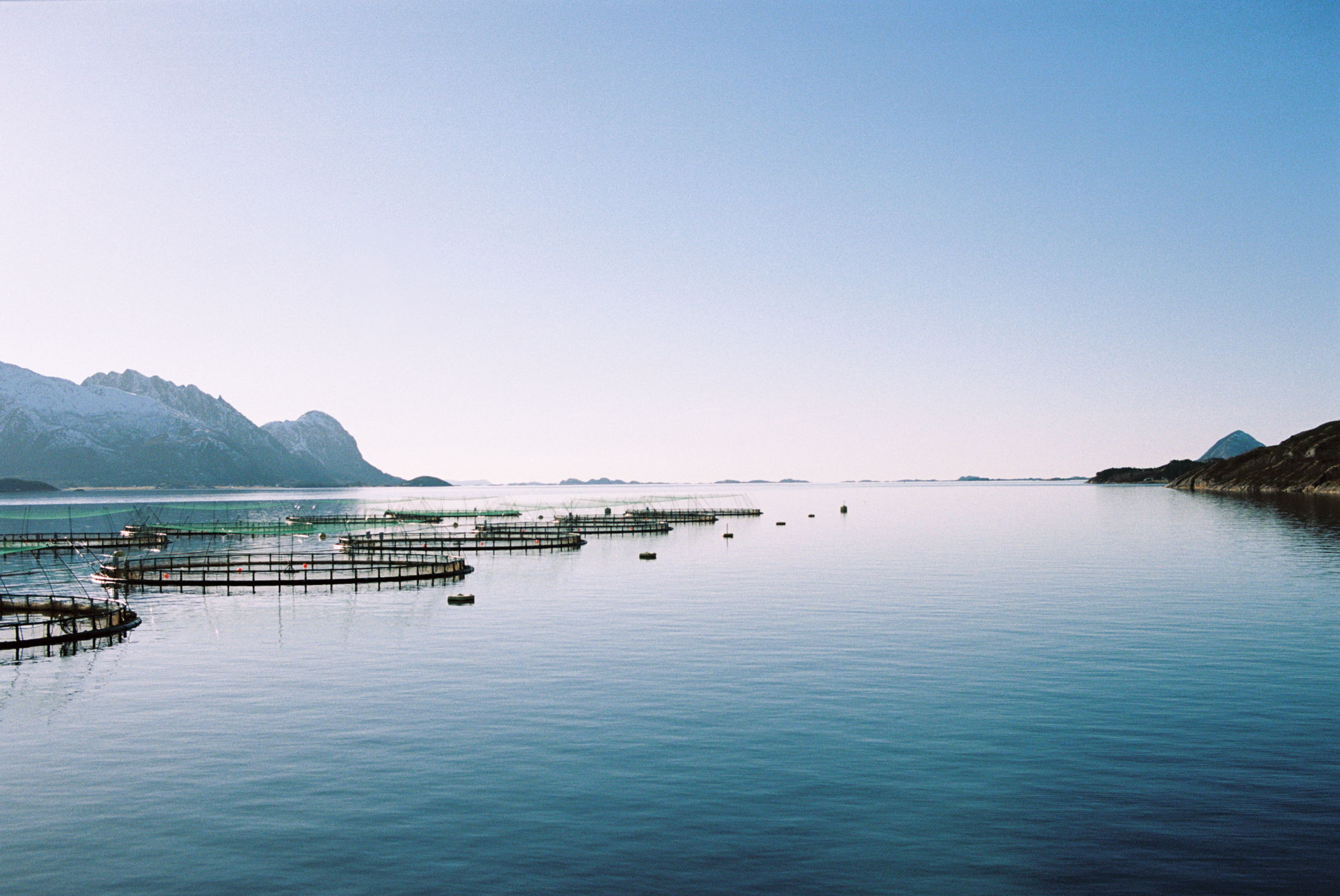 Nova Sea Leikanger web 12