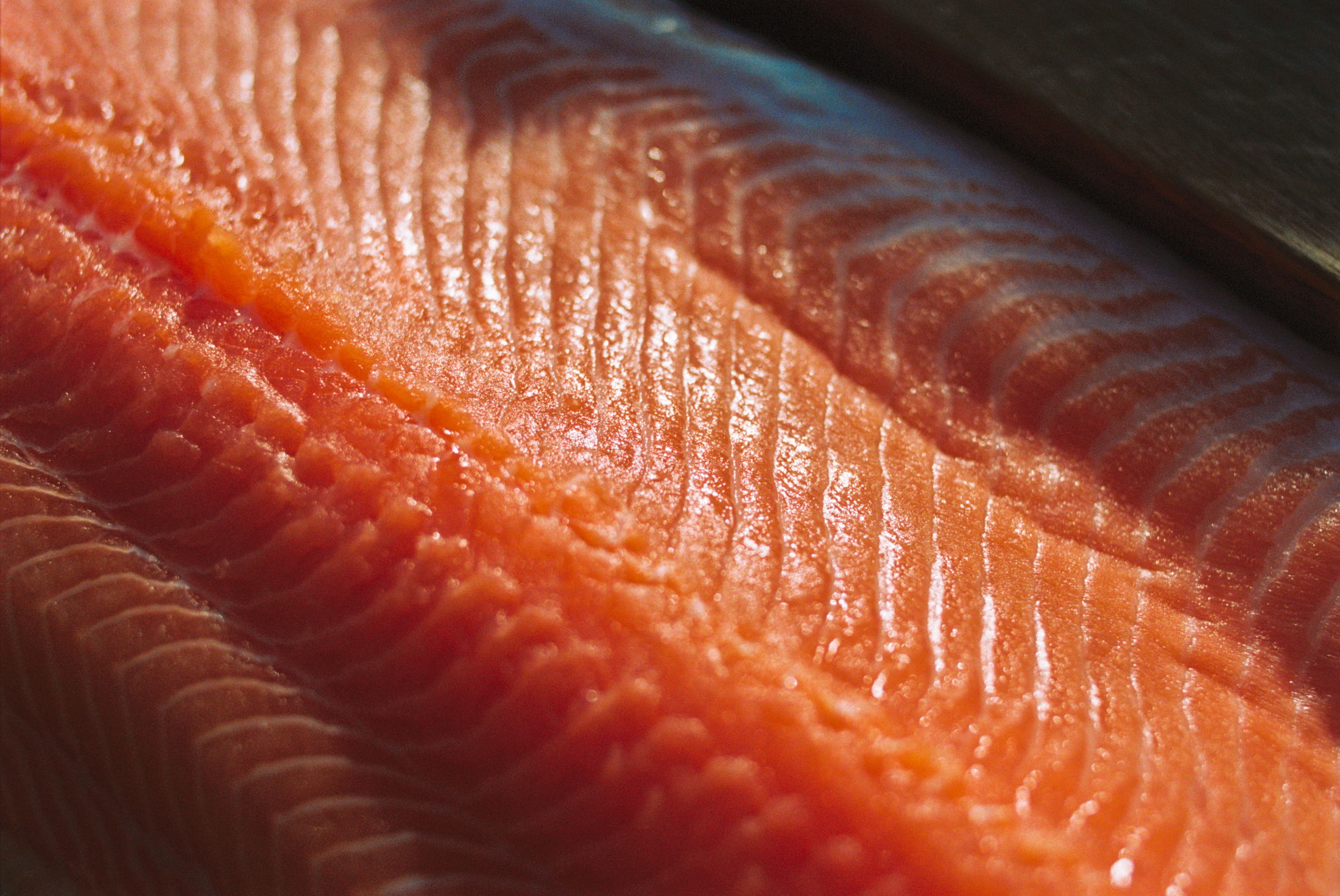 Nova Sea Leikanger web 3