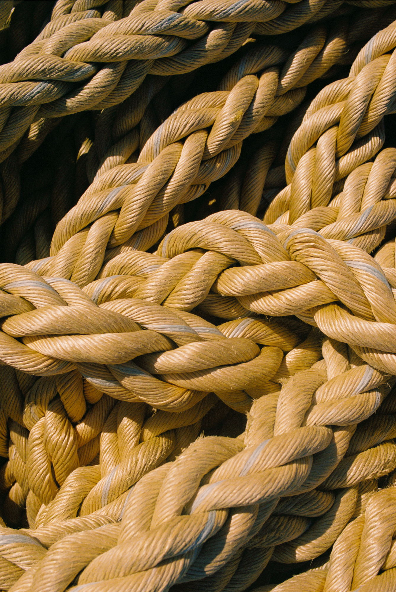 Nova Sea leikanger ekstra web 0036