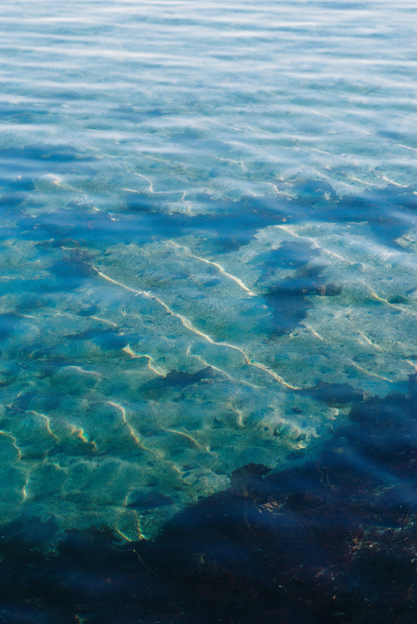 Nova Sea leikanger ekstra web 2