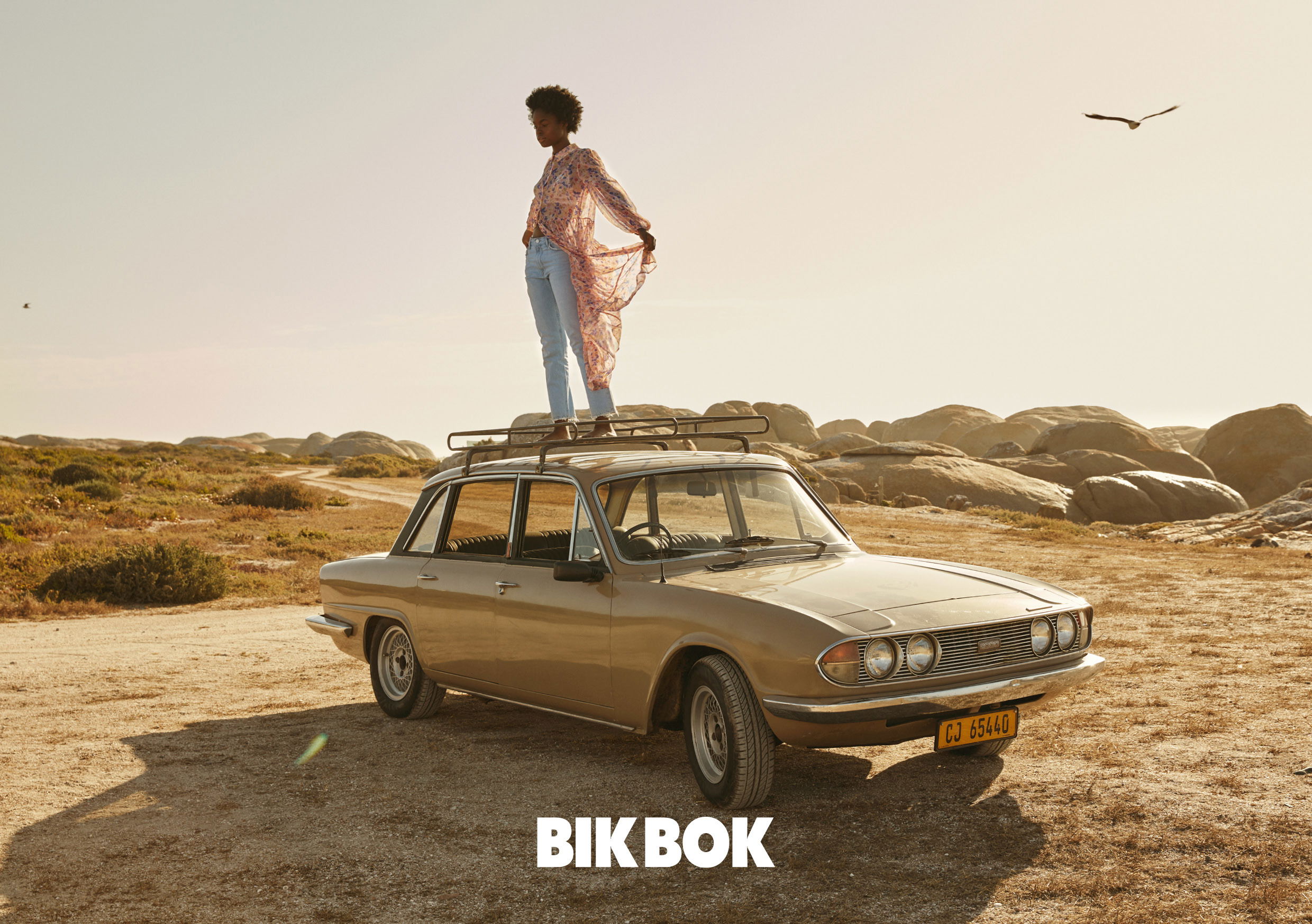 BB 2020 Q1 March Feminine Utility5