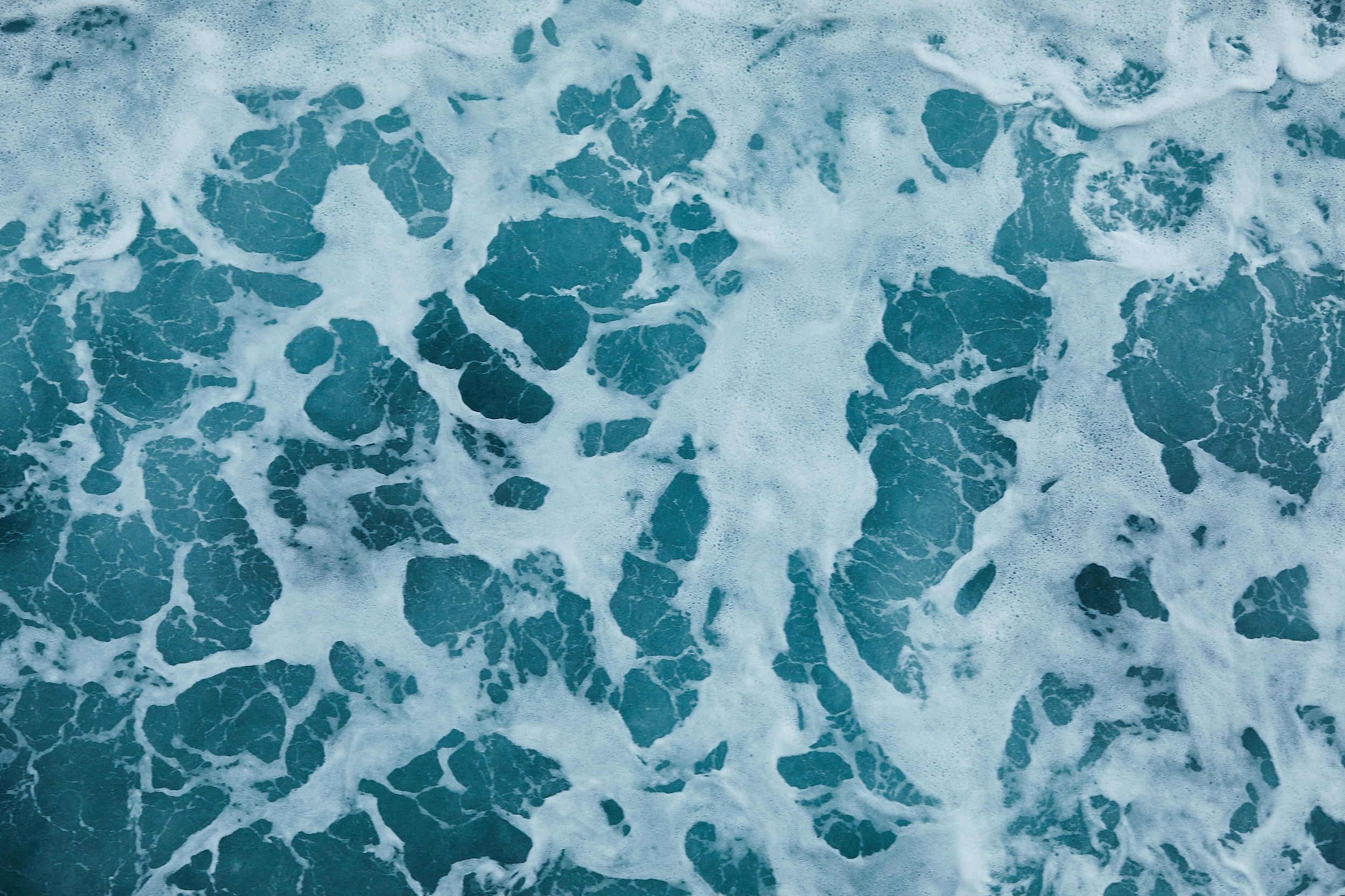 SAS Bold DSD Dag2 6270 web