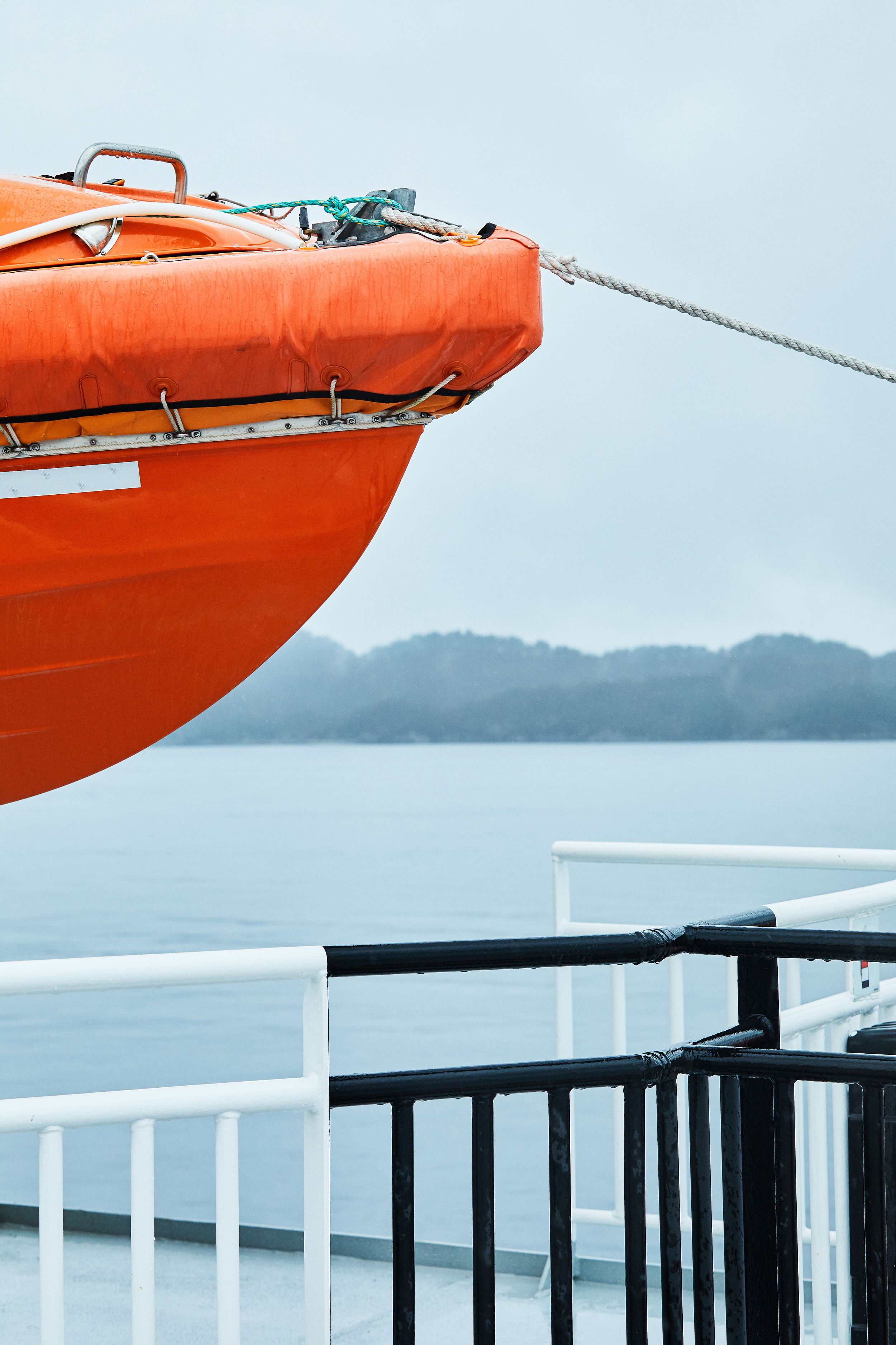 SAS Bold DSD Dag2 6481 web