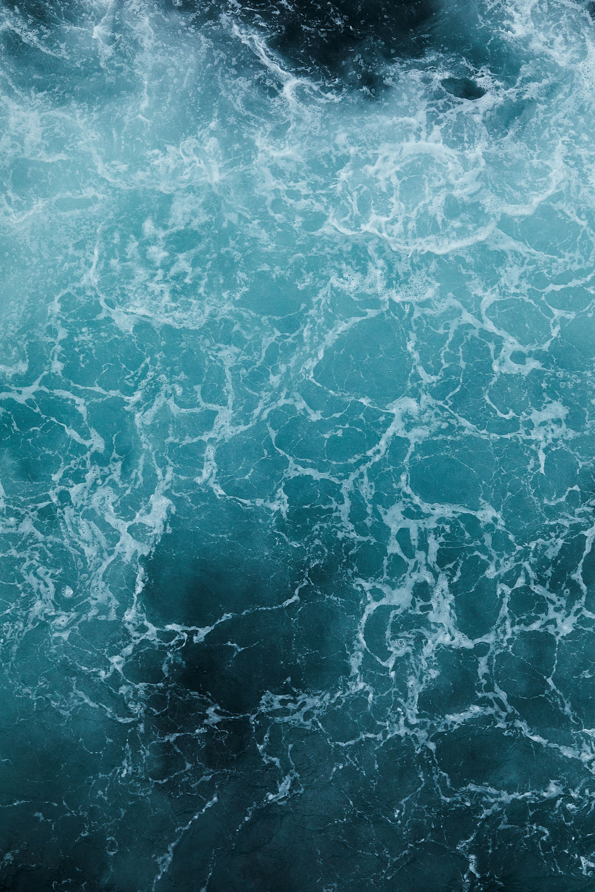 SAS Bold DSD Dag2 6526 web