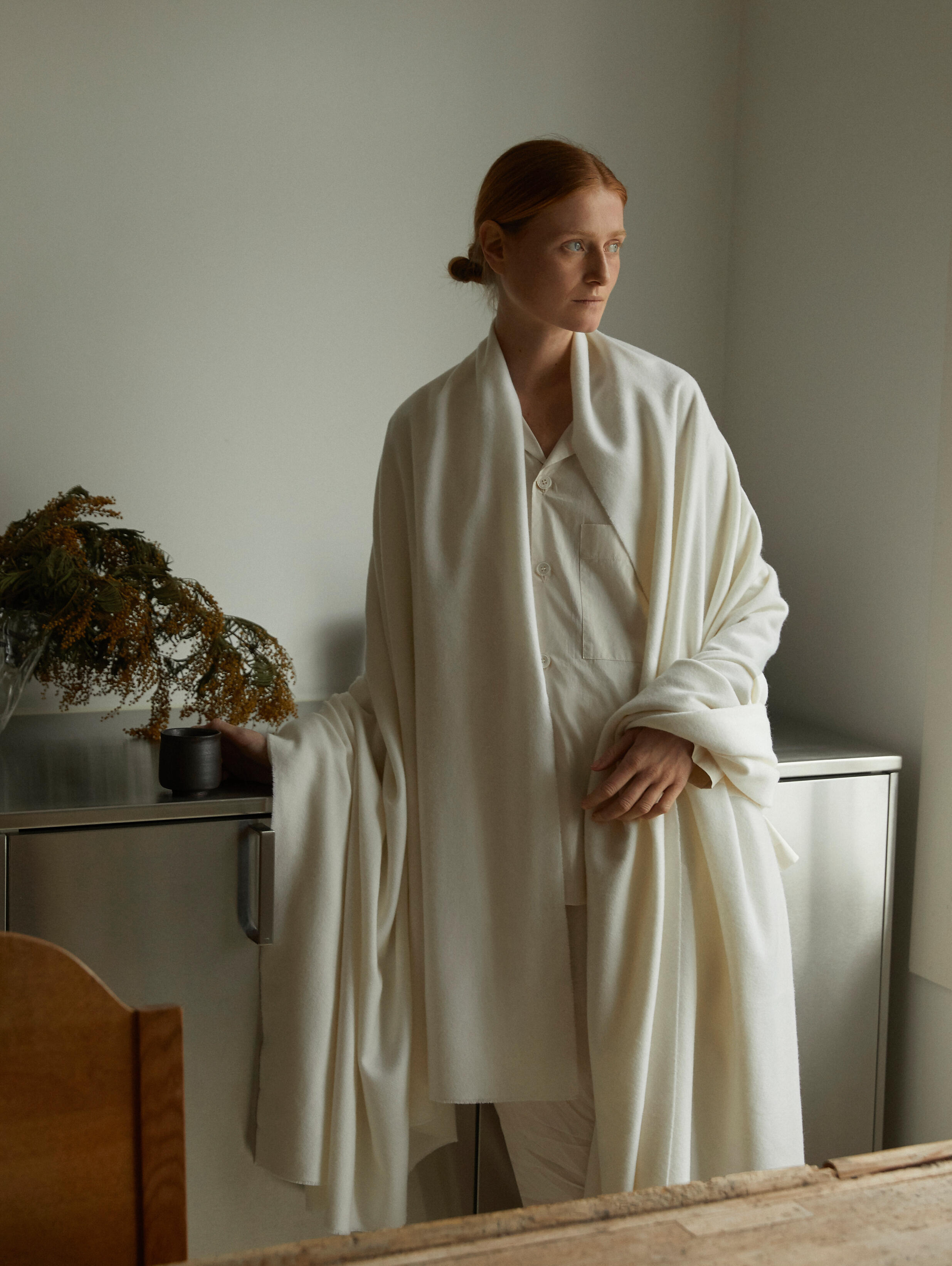 SAS Mold Abate 9909v2