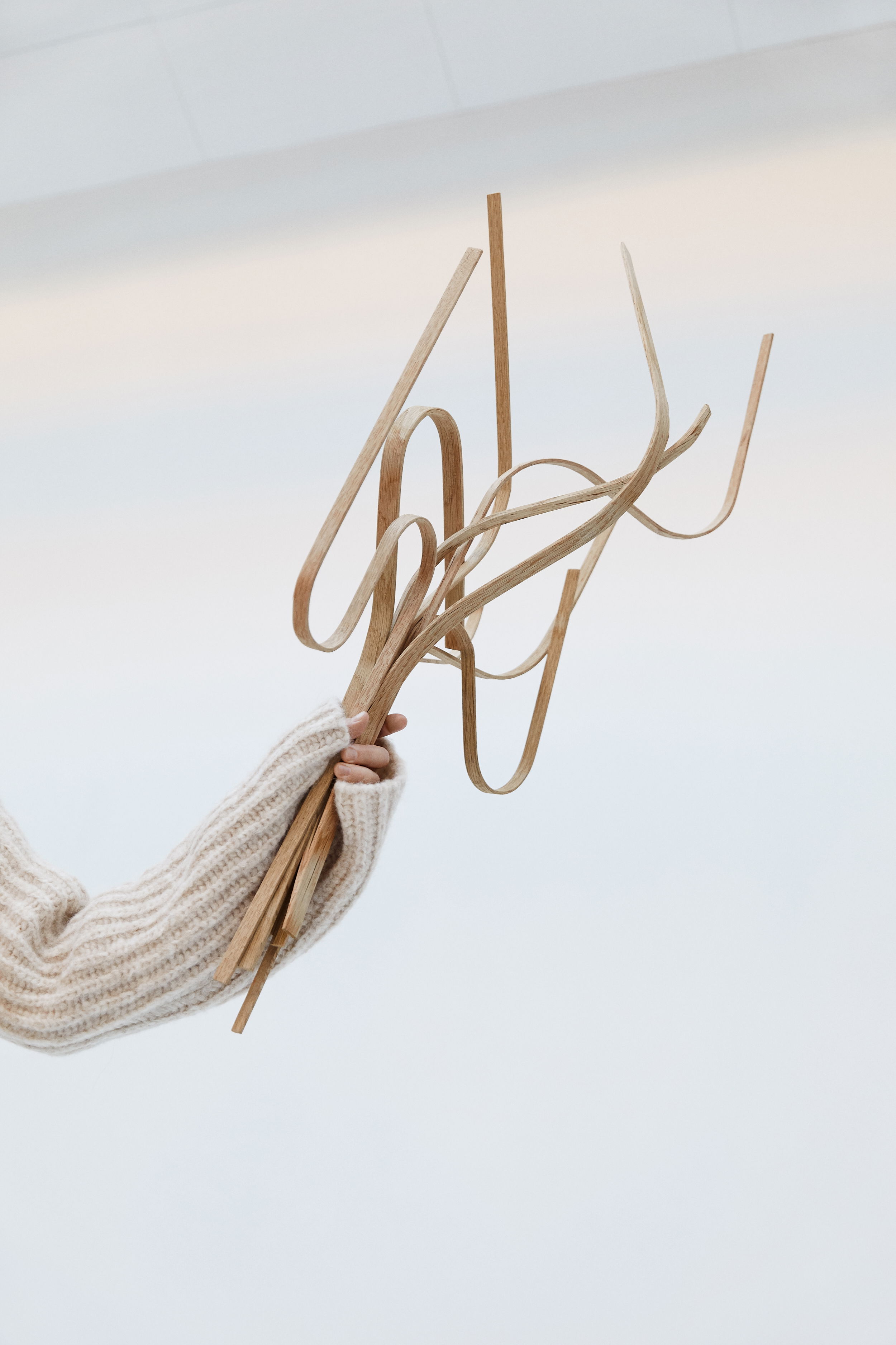 SAS Poppy Lawmanstudio5145 FINAL web