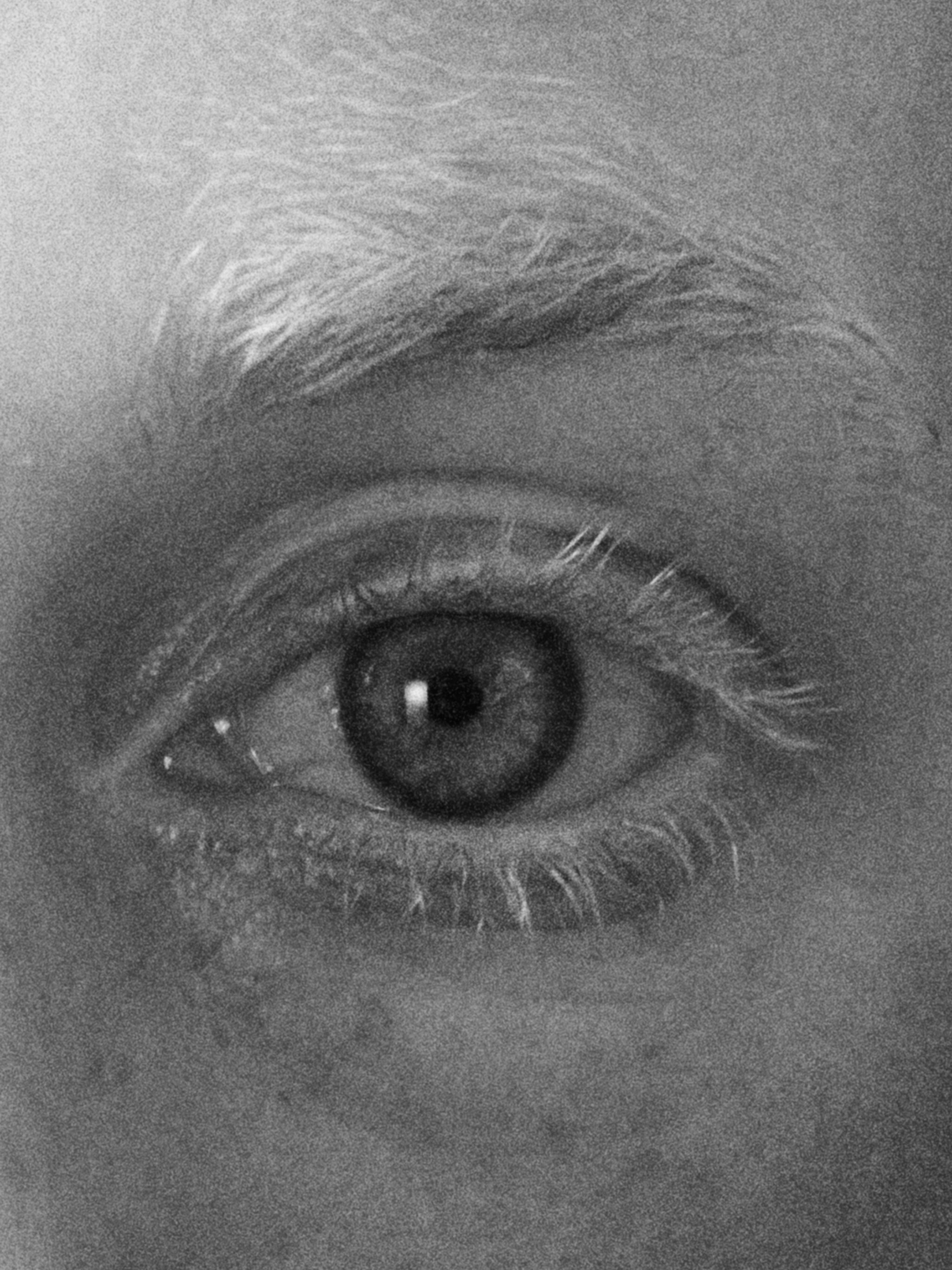 SAS Live Berg Paper Study 2710 web