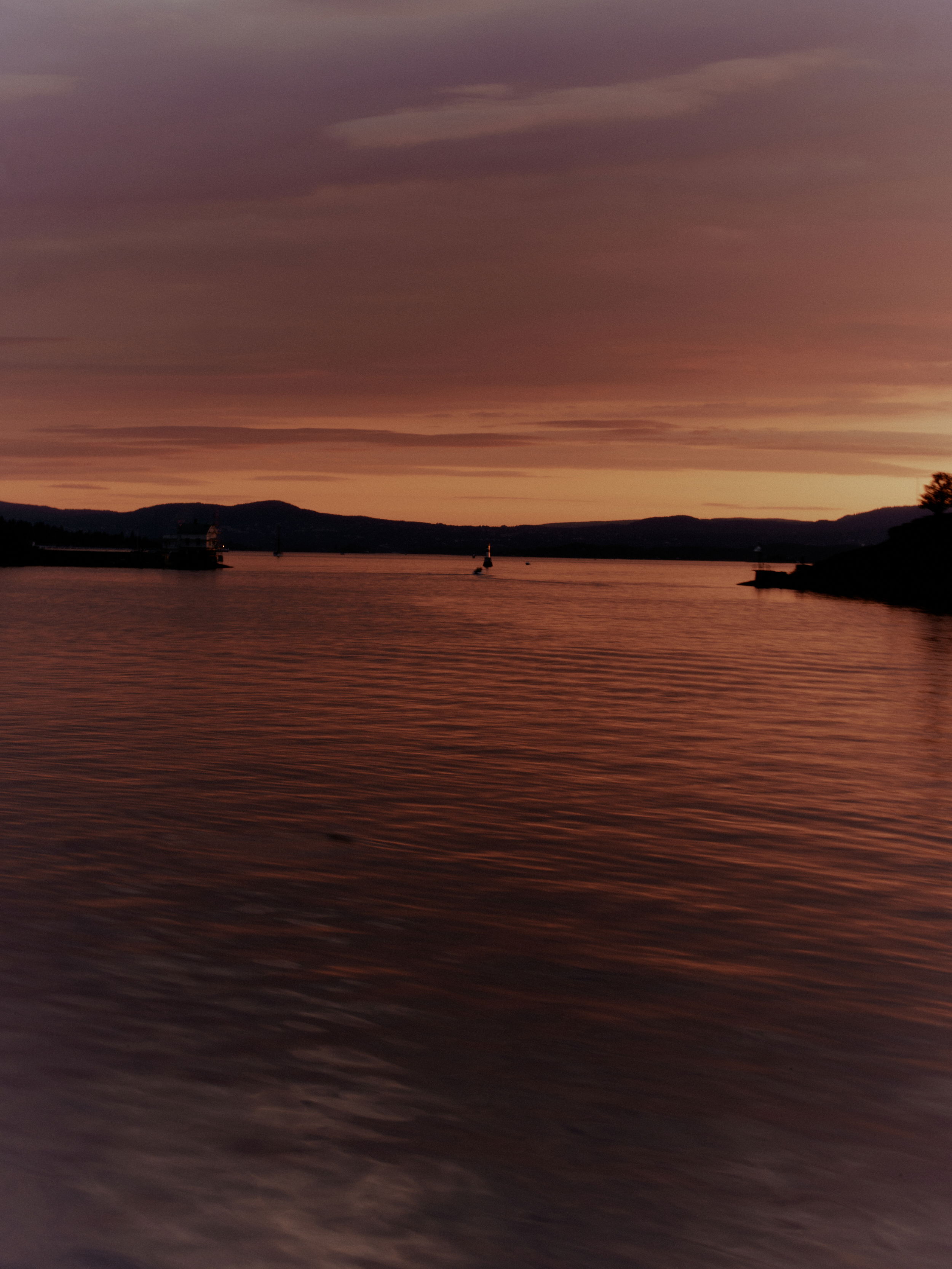 SAS Mold Athena Wyller 655 web