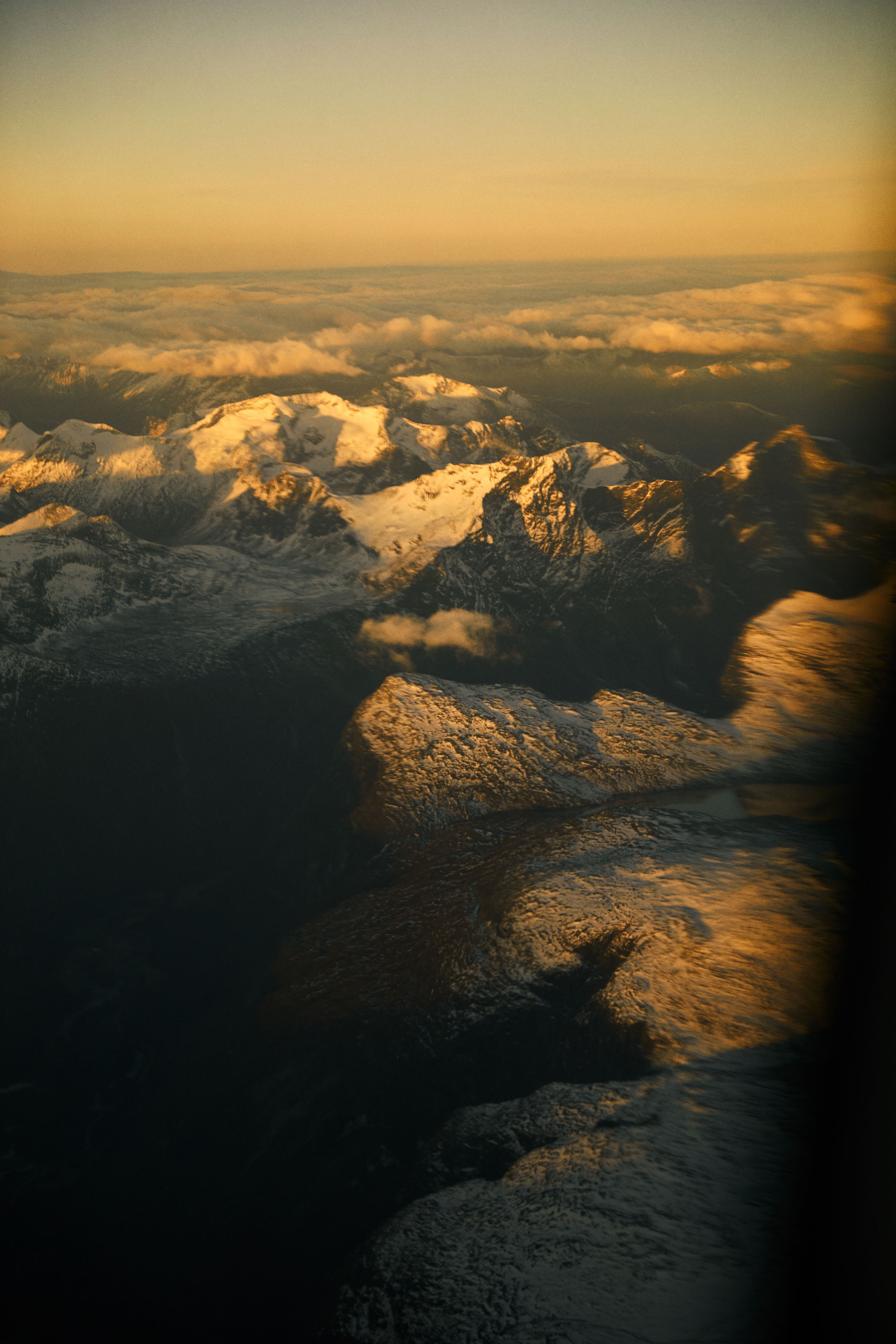 SAS Vera William 1 11431 web