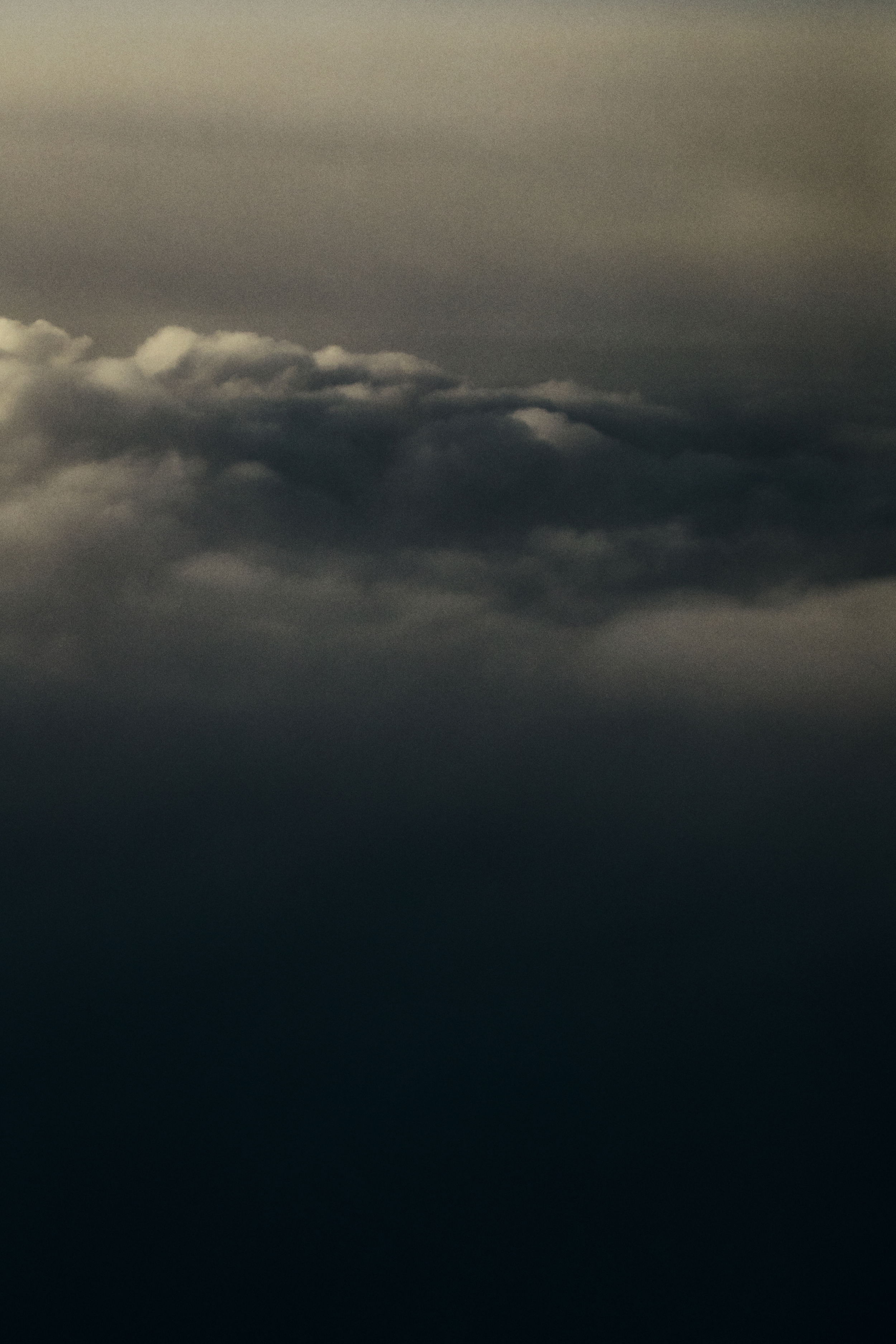 SAS Vera William 2 3049 web