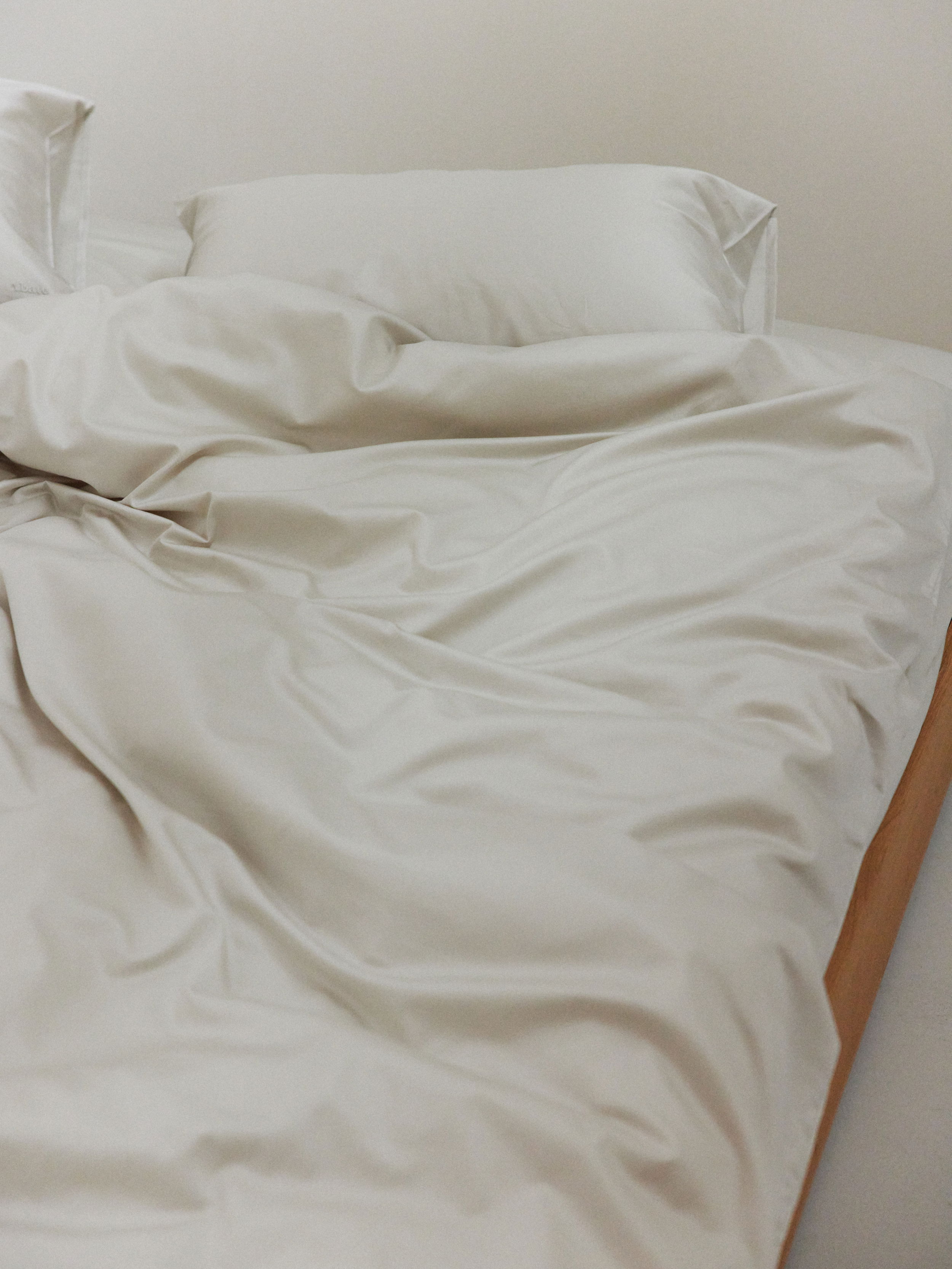 SAS Mold Abate2022 00 0052 web