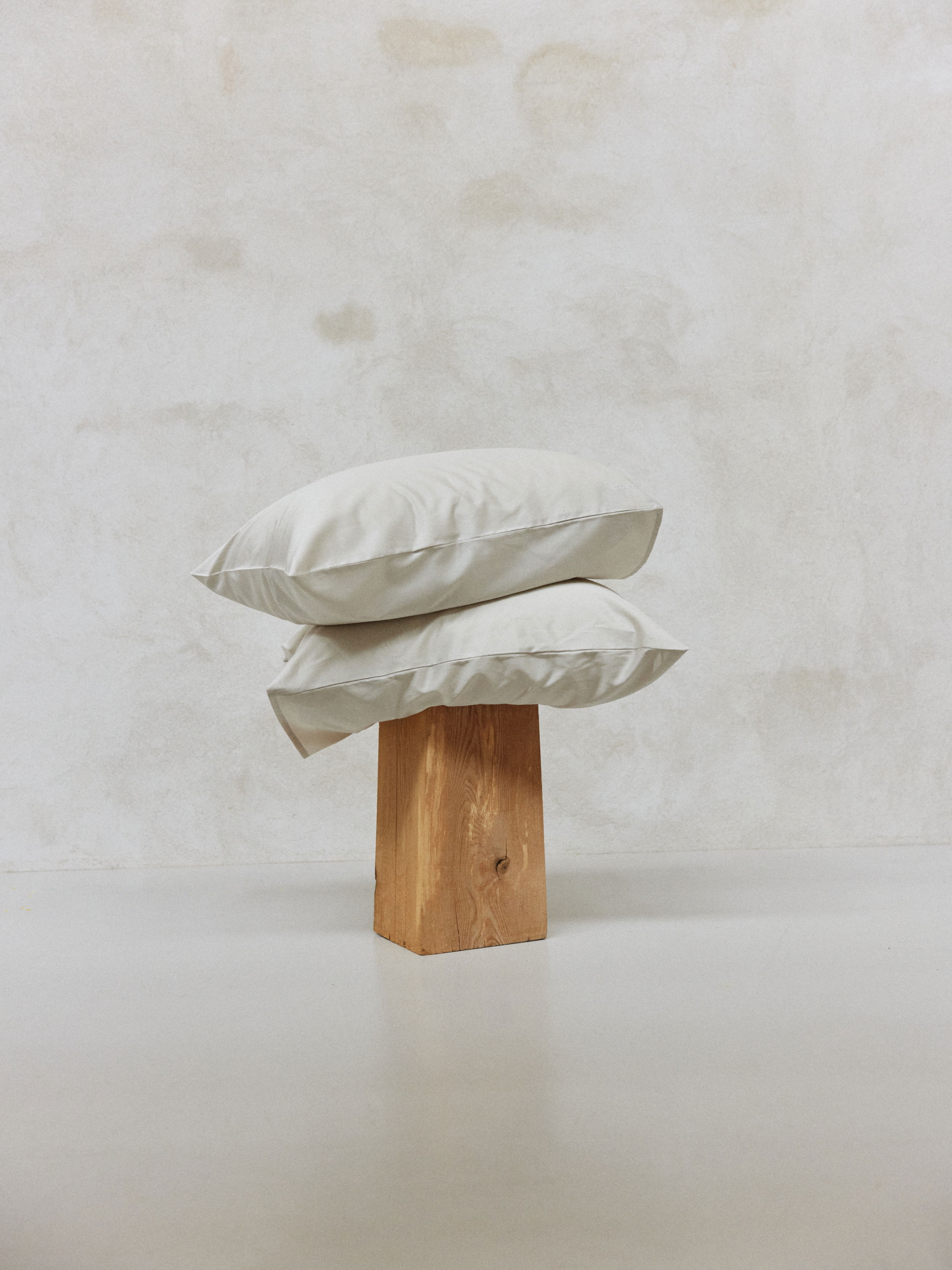 SAS Mold Abate2022 00 0065 web