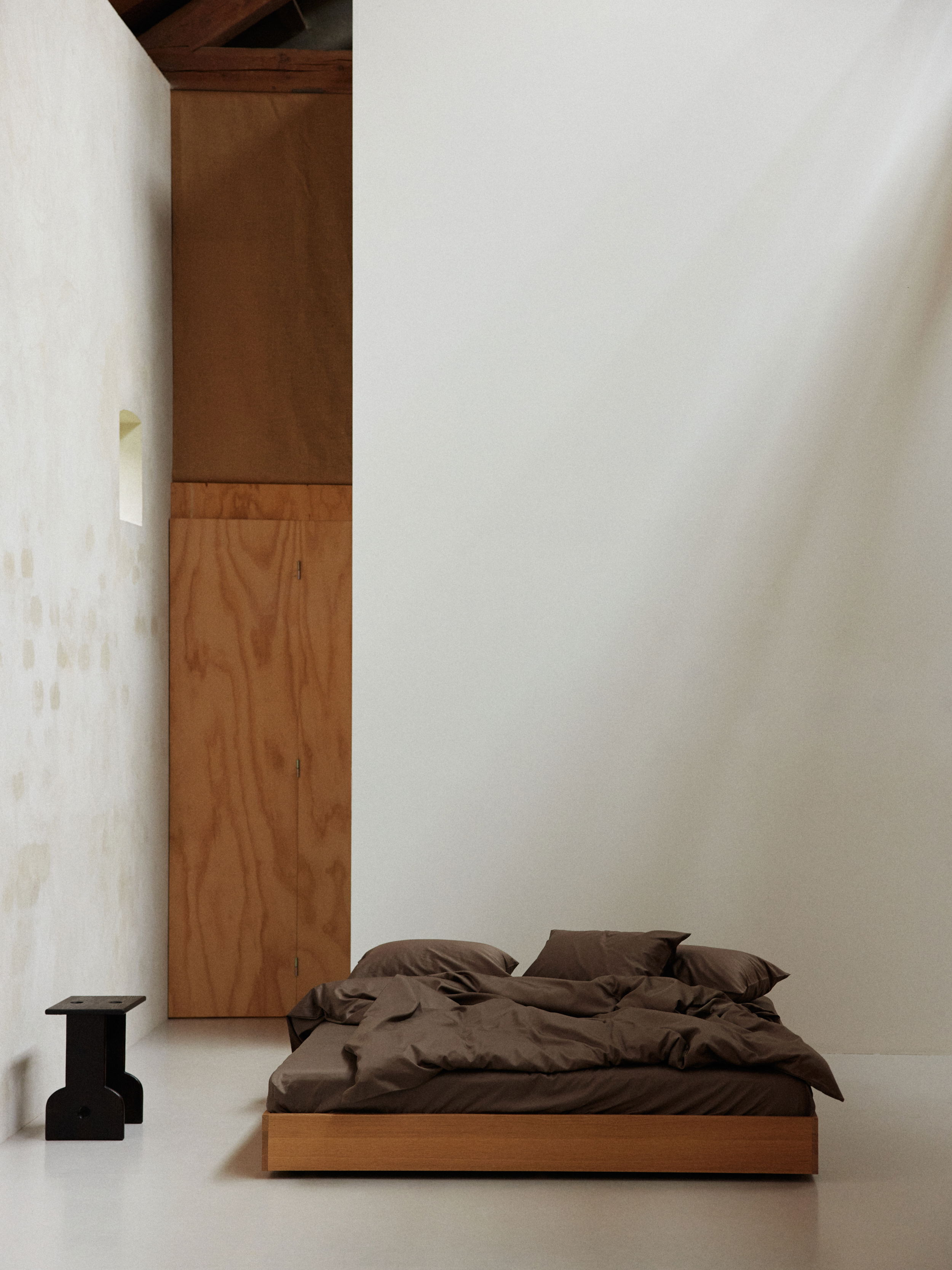 SAS Mold Abate2022 00 0286 web