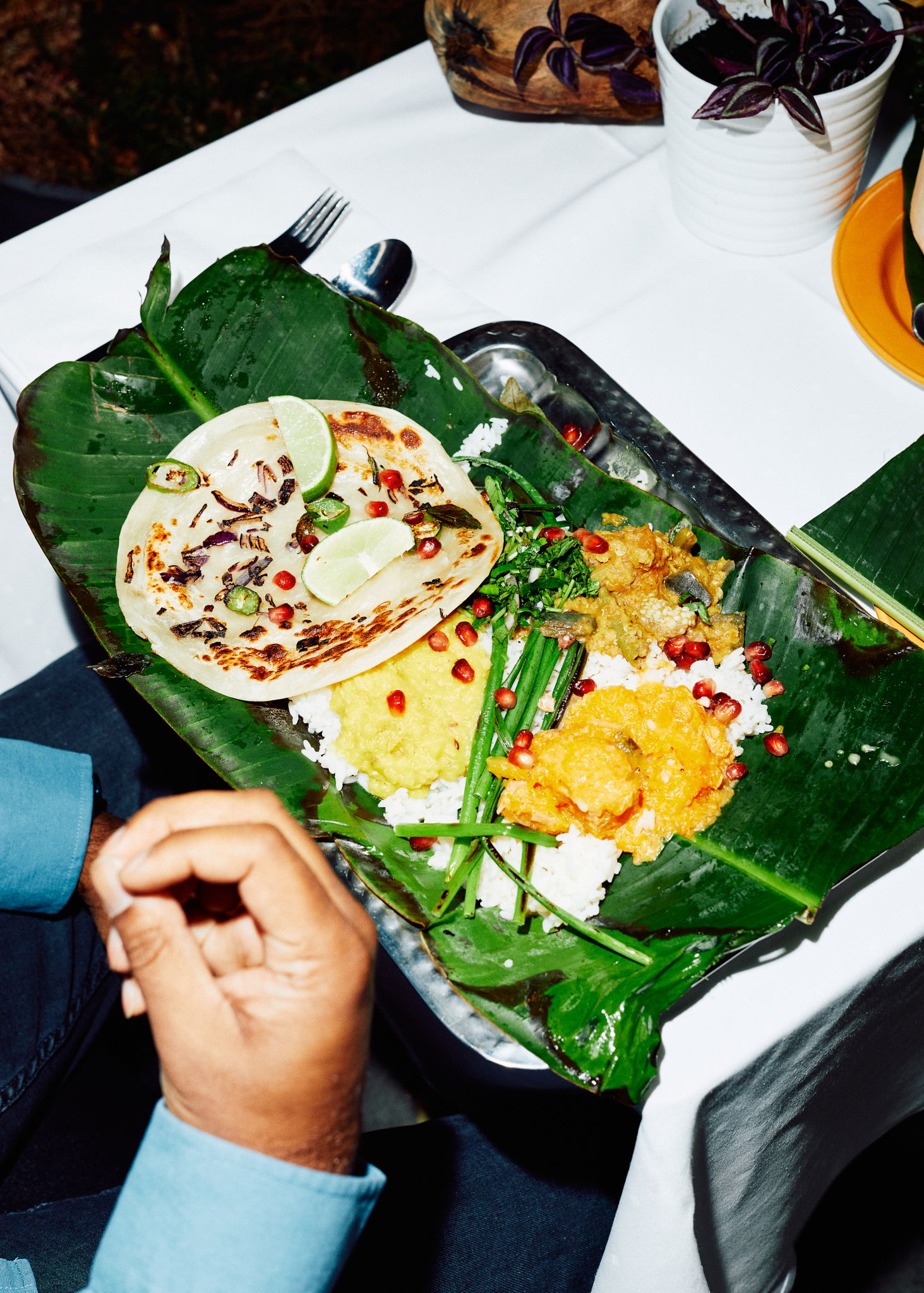 SSB DIVYHA 1 K1 D 160821 ZSB 0697 v2