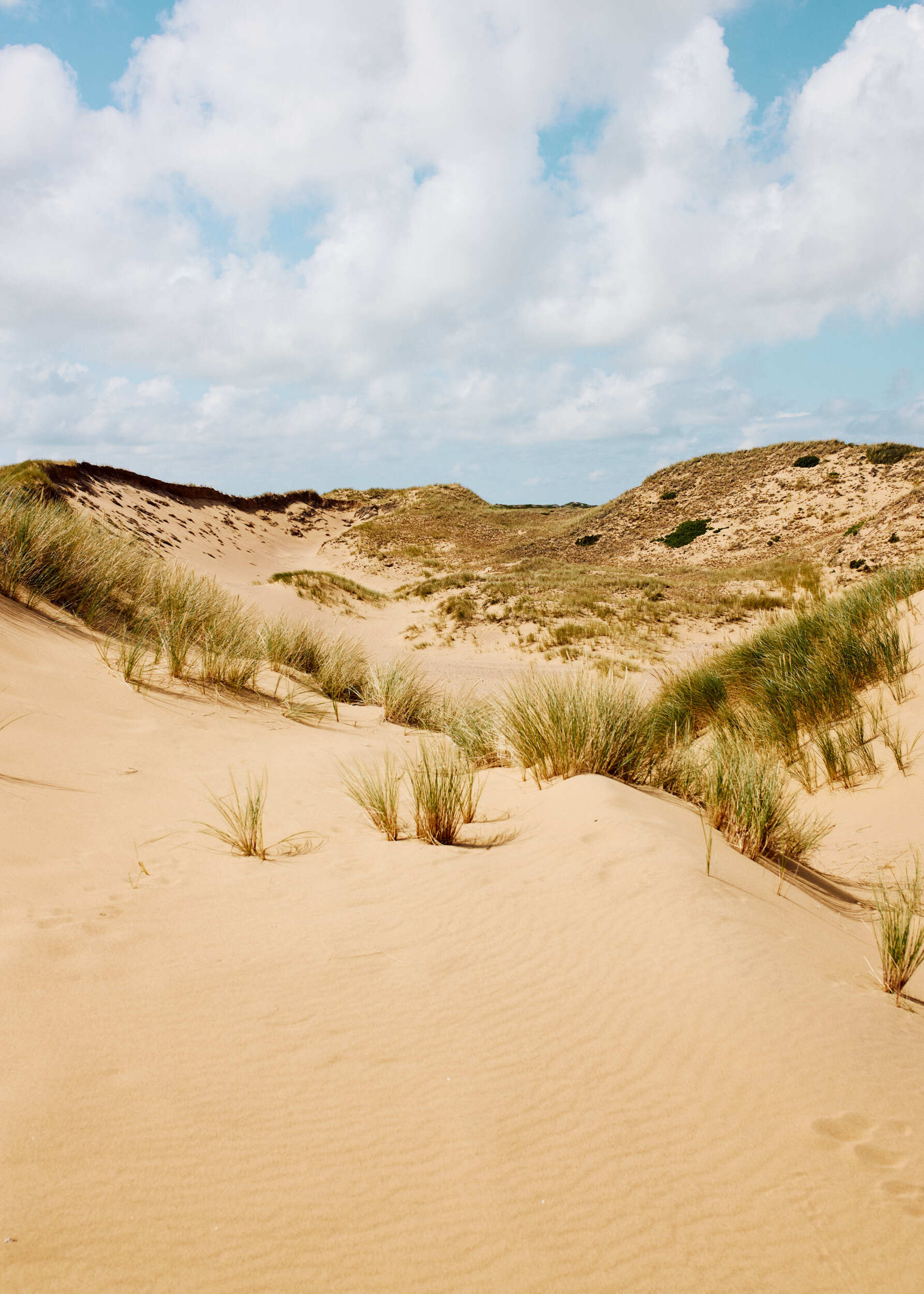 BJERKVIK Anholt 0725 SB 0114 WEB