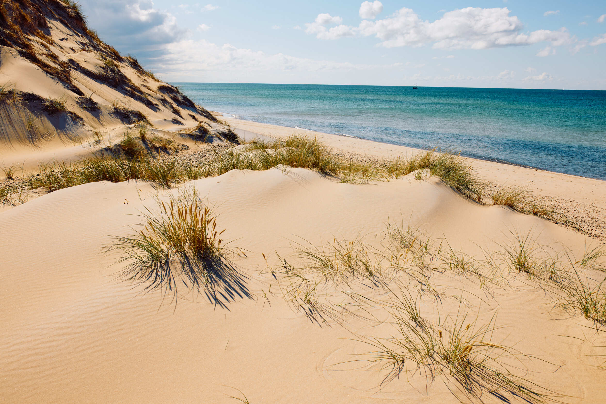 BJERKVIK Anholt 0725 SB 0280 WEB