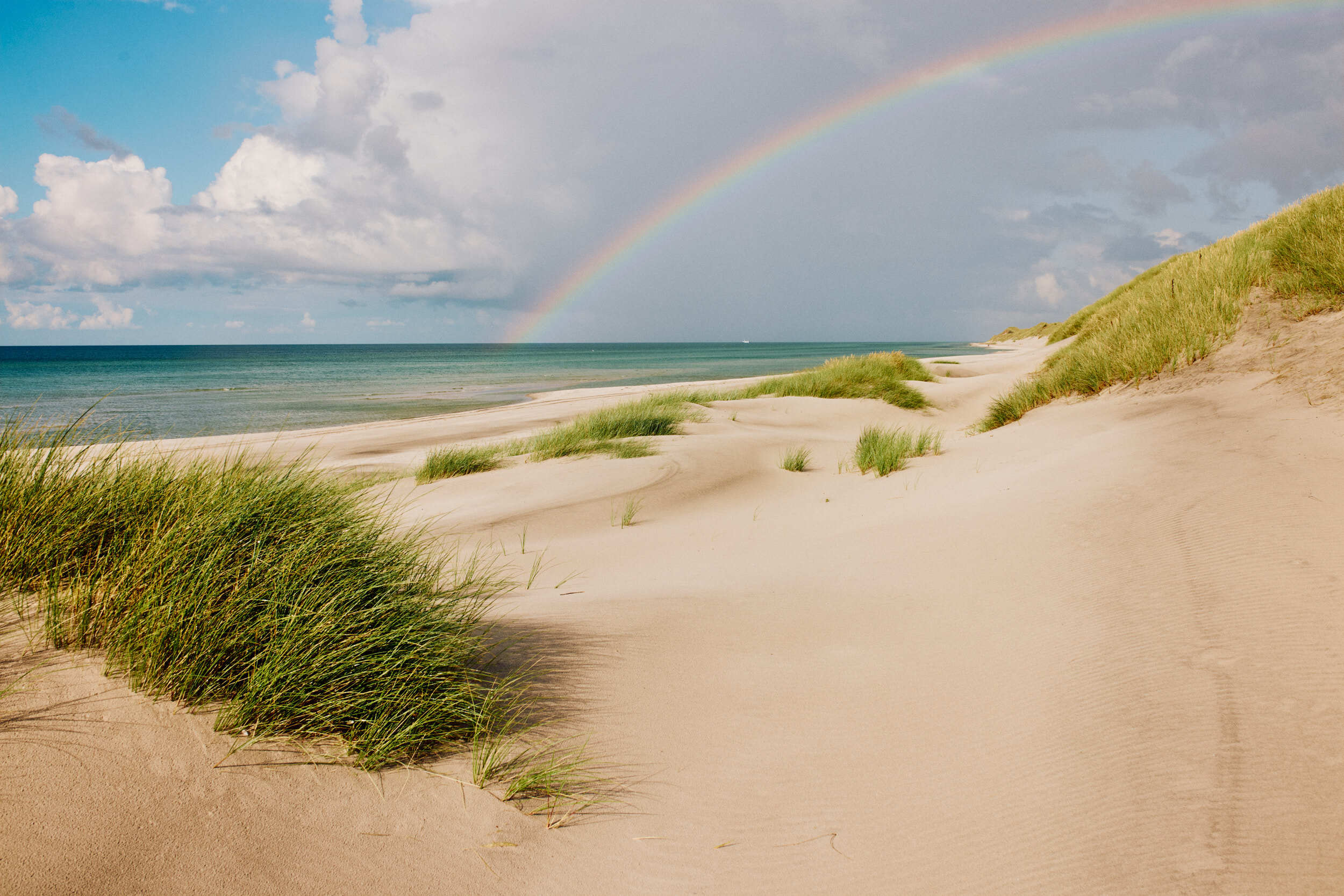 BJERKVIK Anholt 0725 SB 0290 WEB