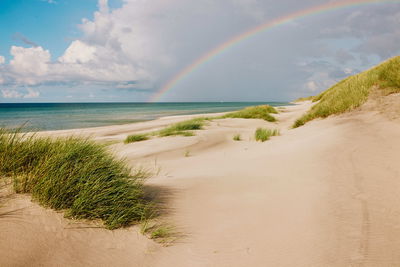 BJERKVIK Anholt 0725 SB 0290 WEB