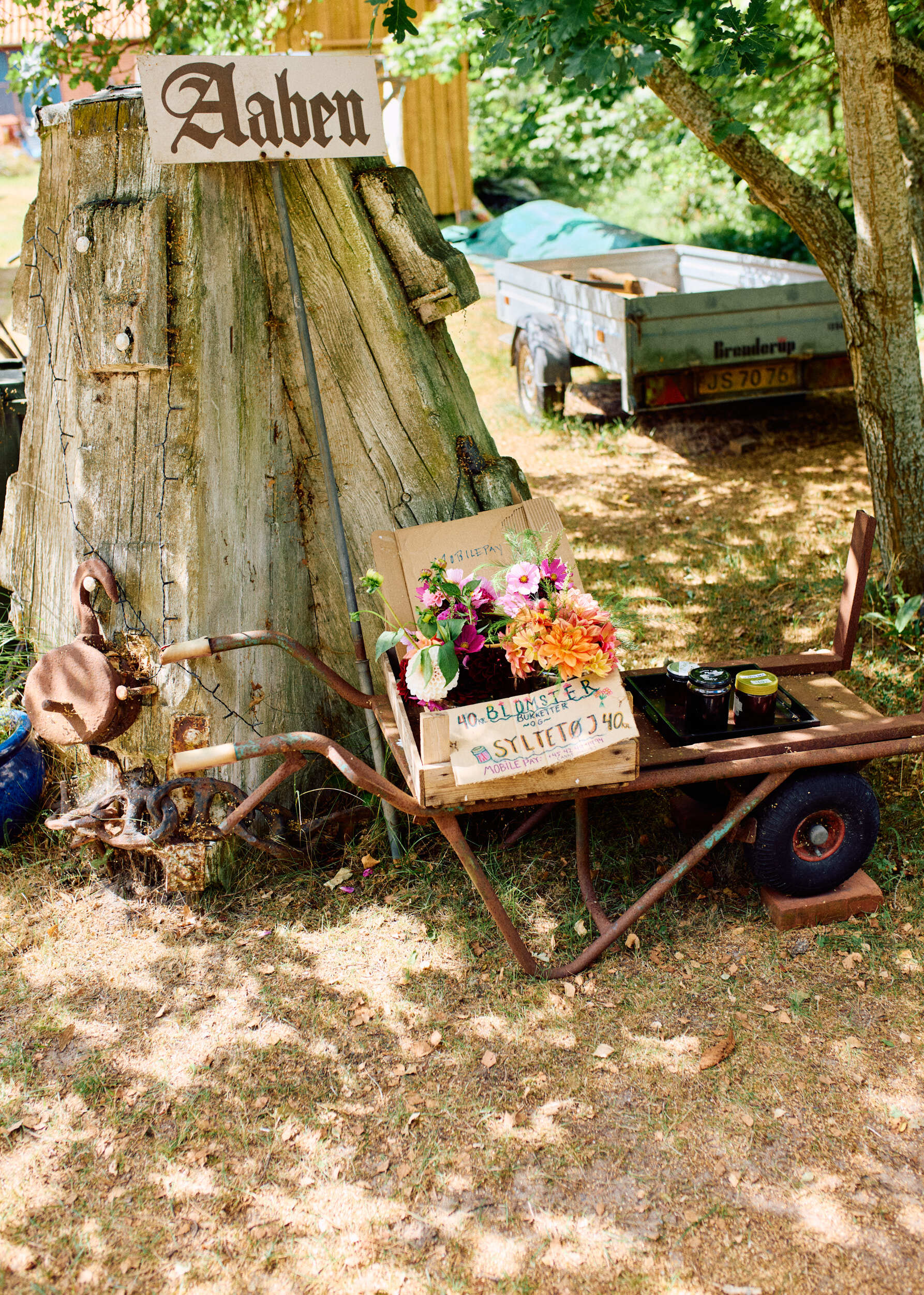 BJERKVIK Anholt 0725 SB 0542 WEB