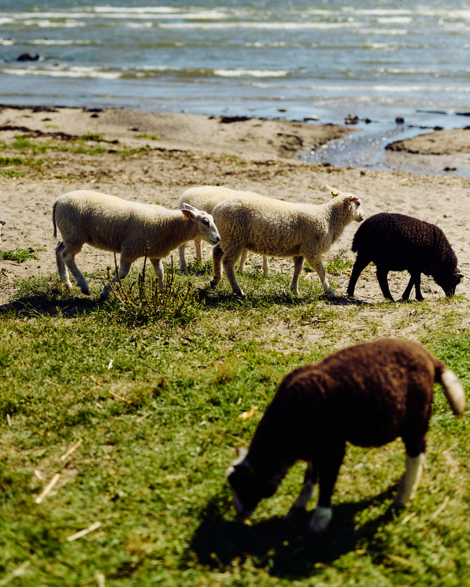 Moss byguide BJERKVIK 200624 SB 3731 WEB
