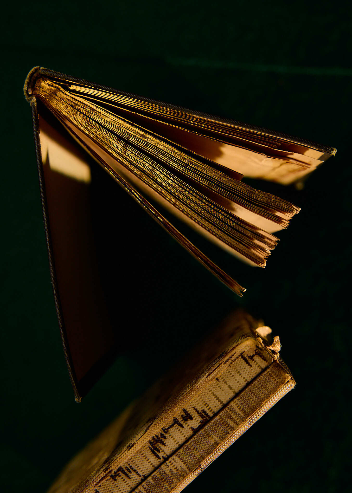 BJERKVIK Johan Fr Odfjell 131125 SB 0500