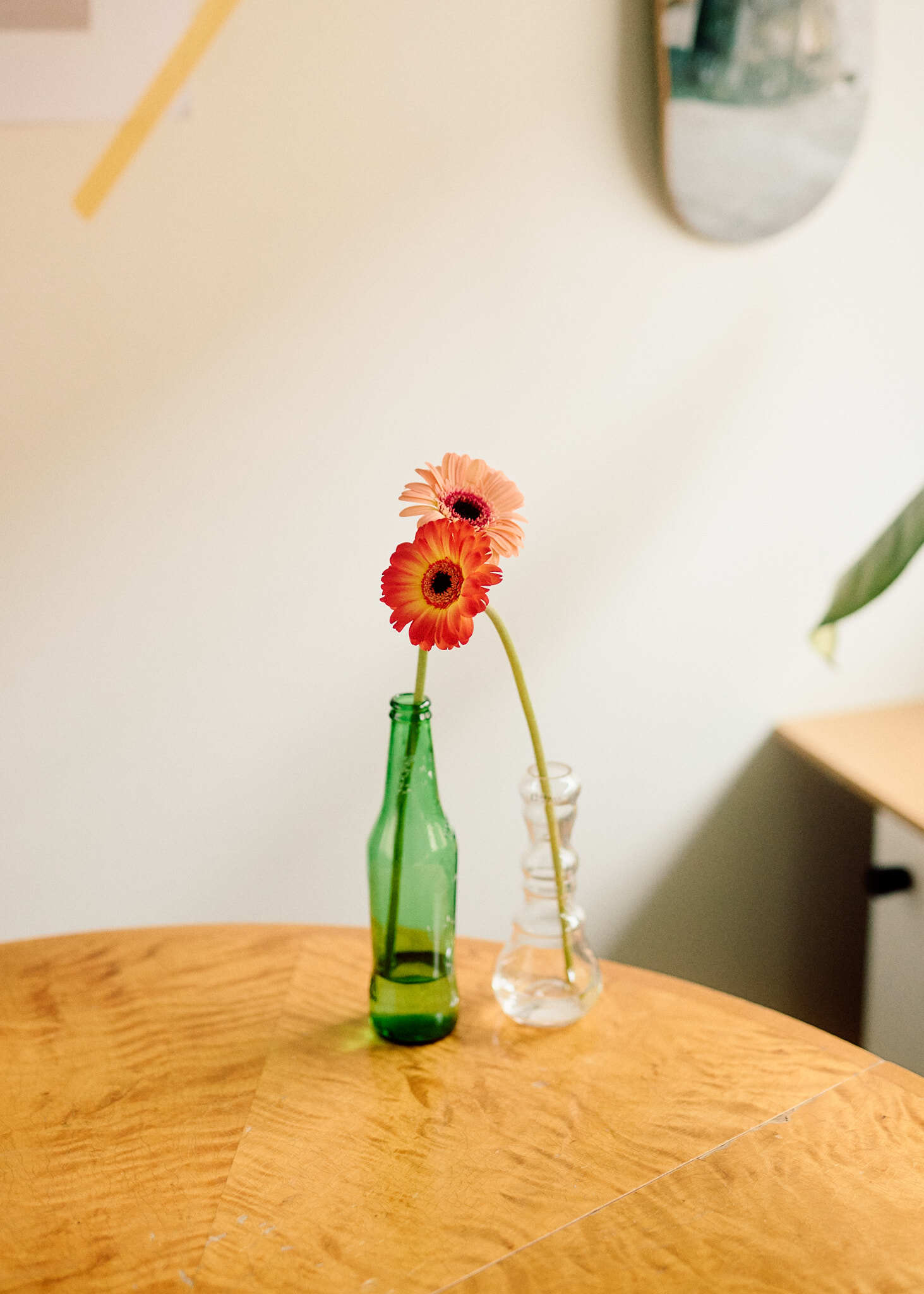 BJERKVIK kjaersteguide 030226 SB 4529 1