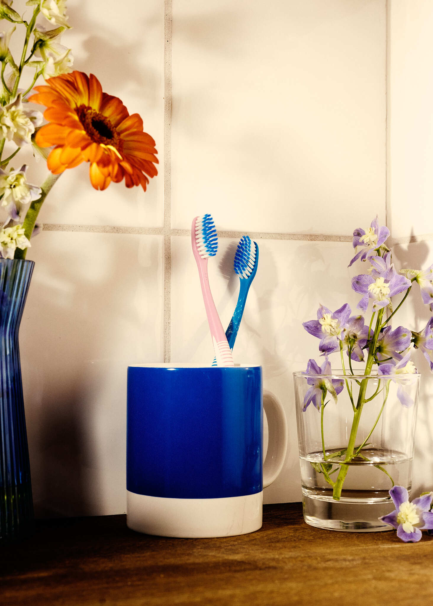 BJERKVIK kjaersteguide 030226 SB 4590 1