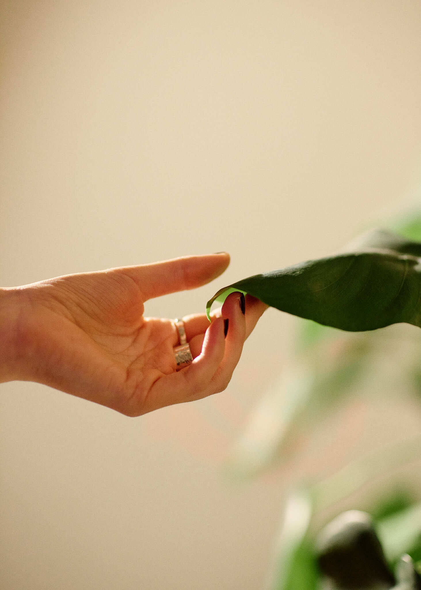 BJERKVIK kjaersteguide 030226 SB 4653 1 1