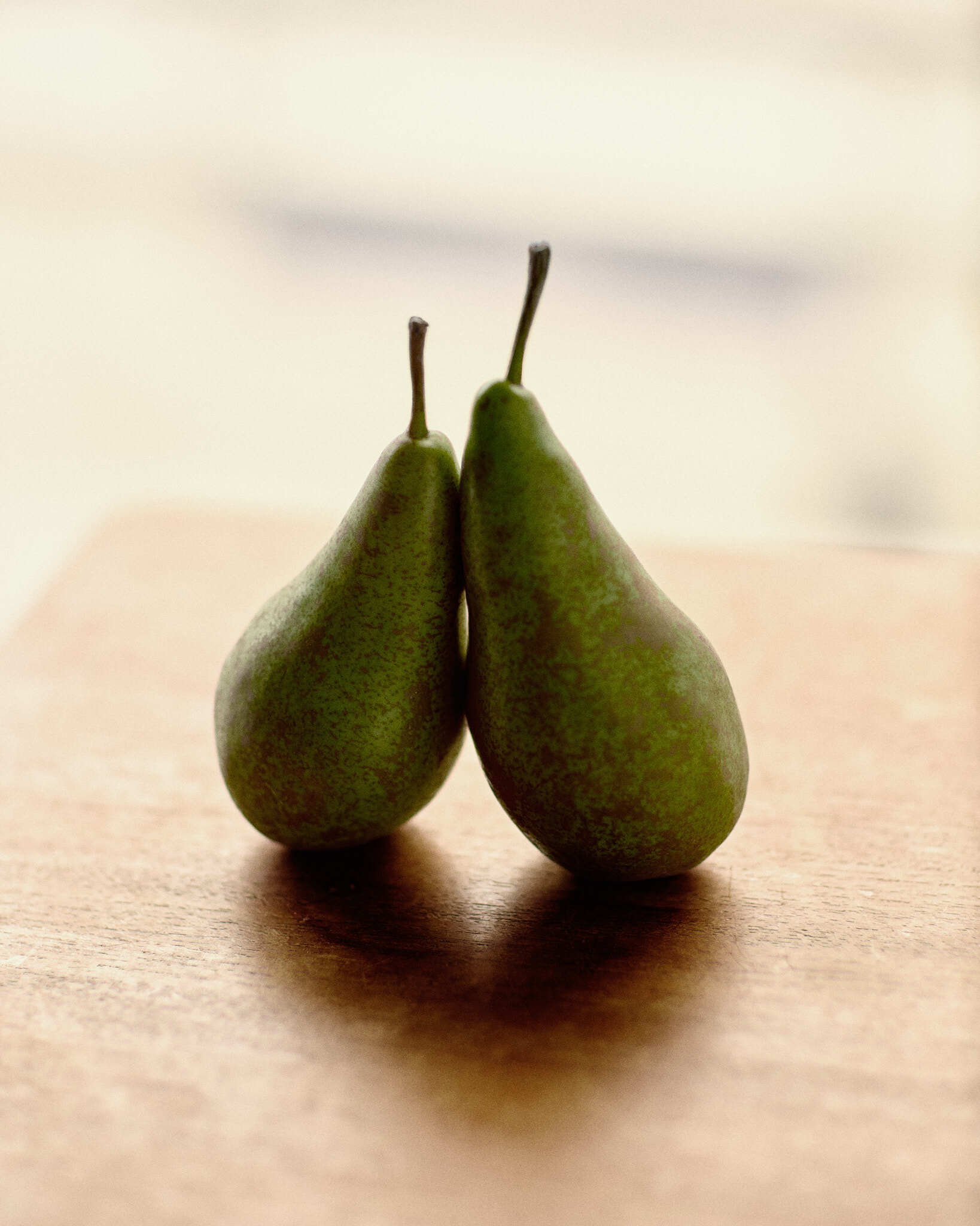 BJERKVIK kjaersteguide 280126 SB 3388