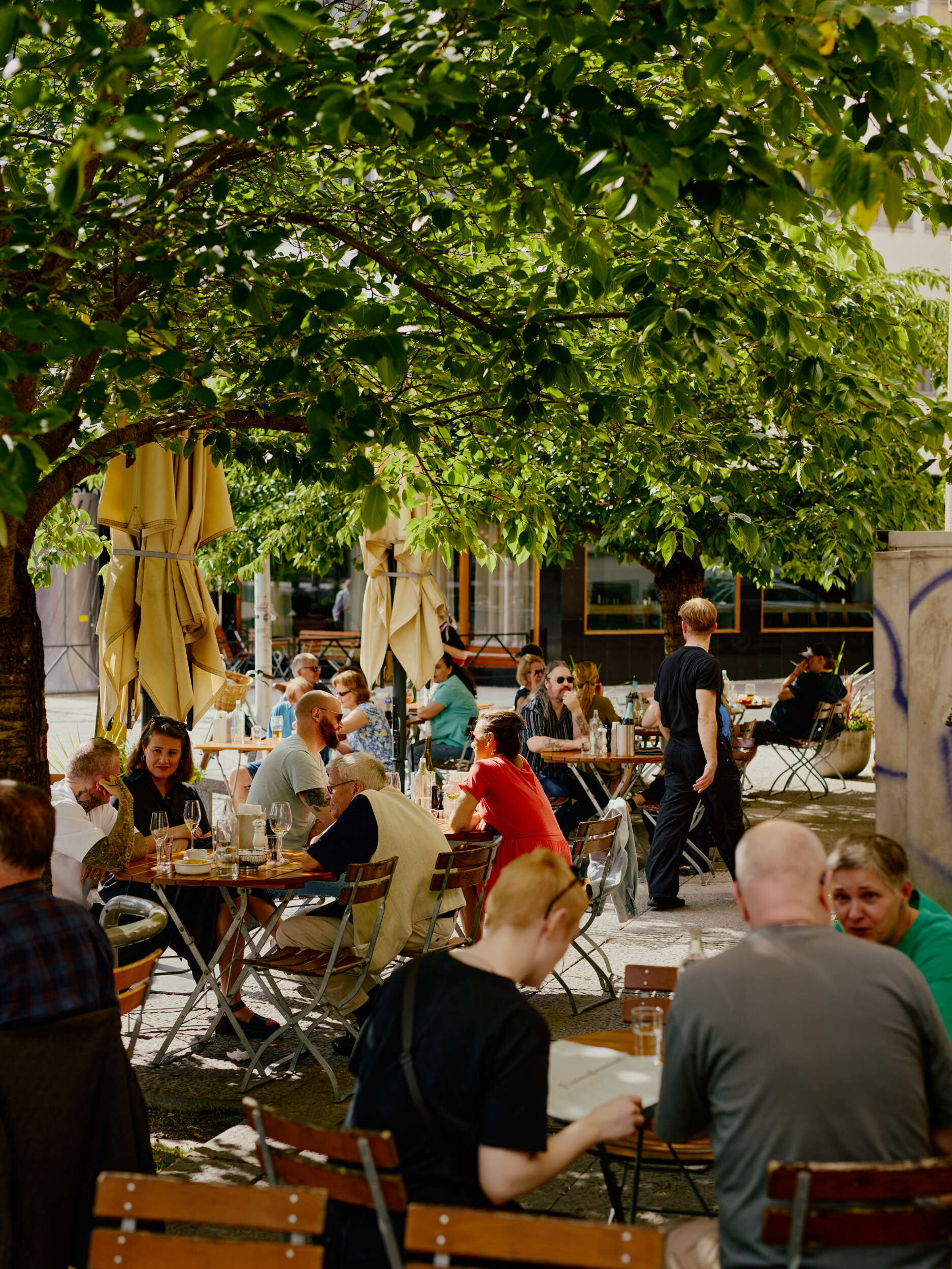 BJERKVIK Tekehtopa 0380 180724 WEB