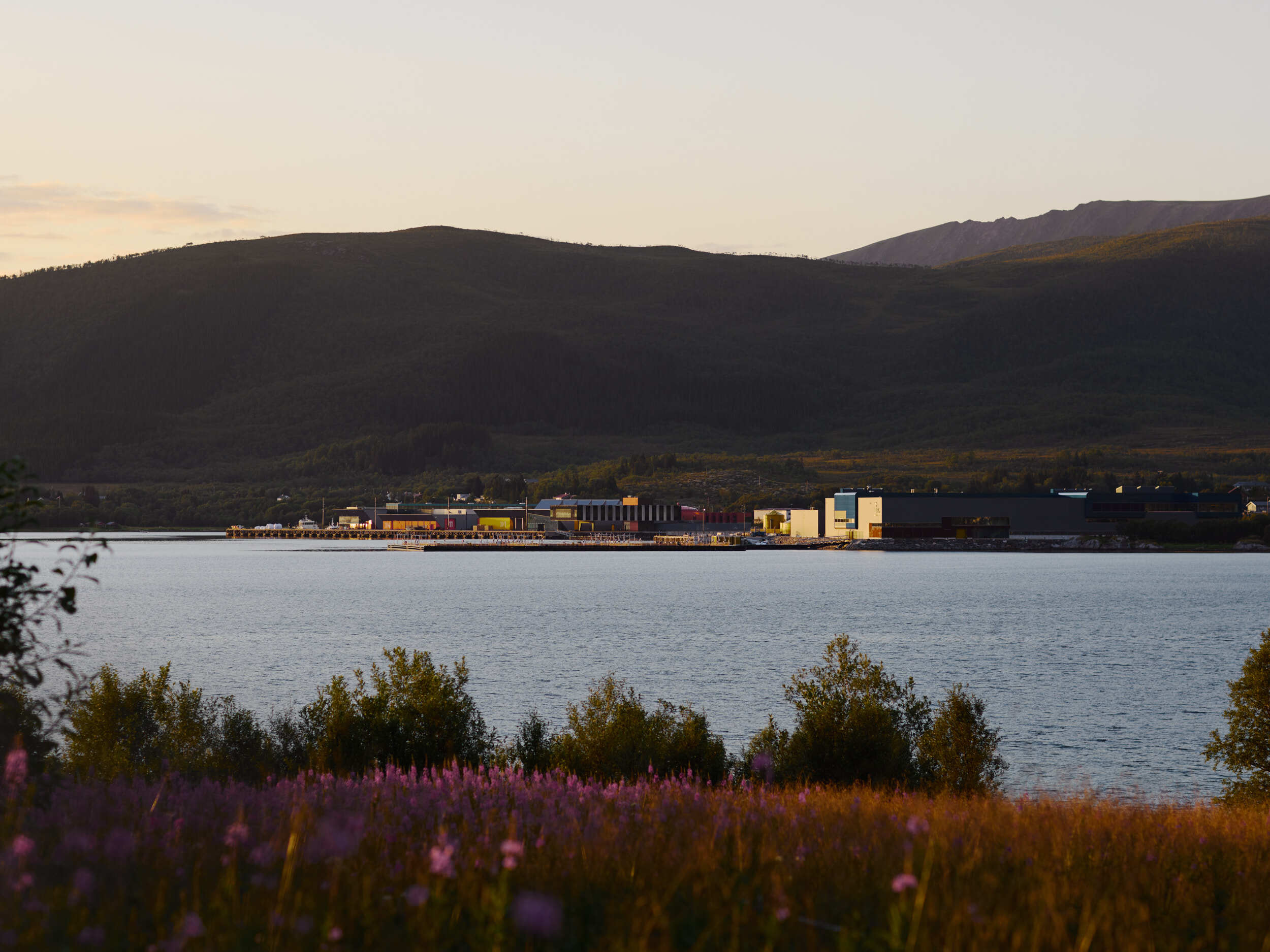 BJERKVIK HOLMEN Snohetta 0158 290724 WEB