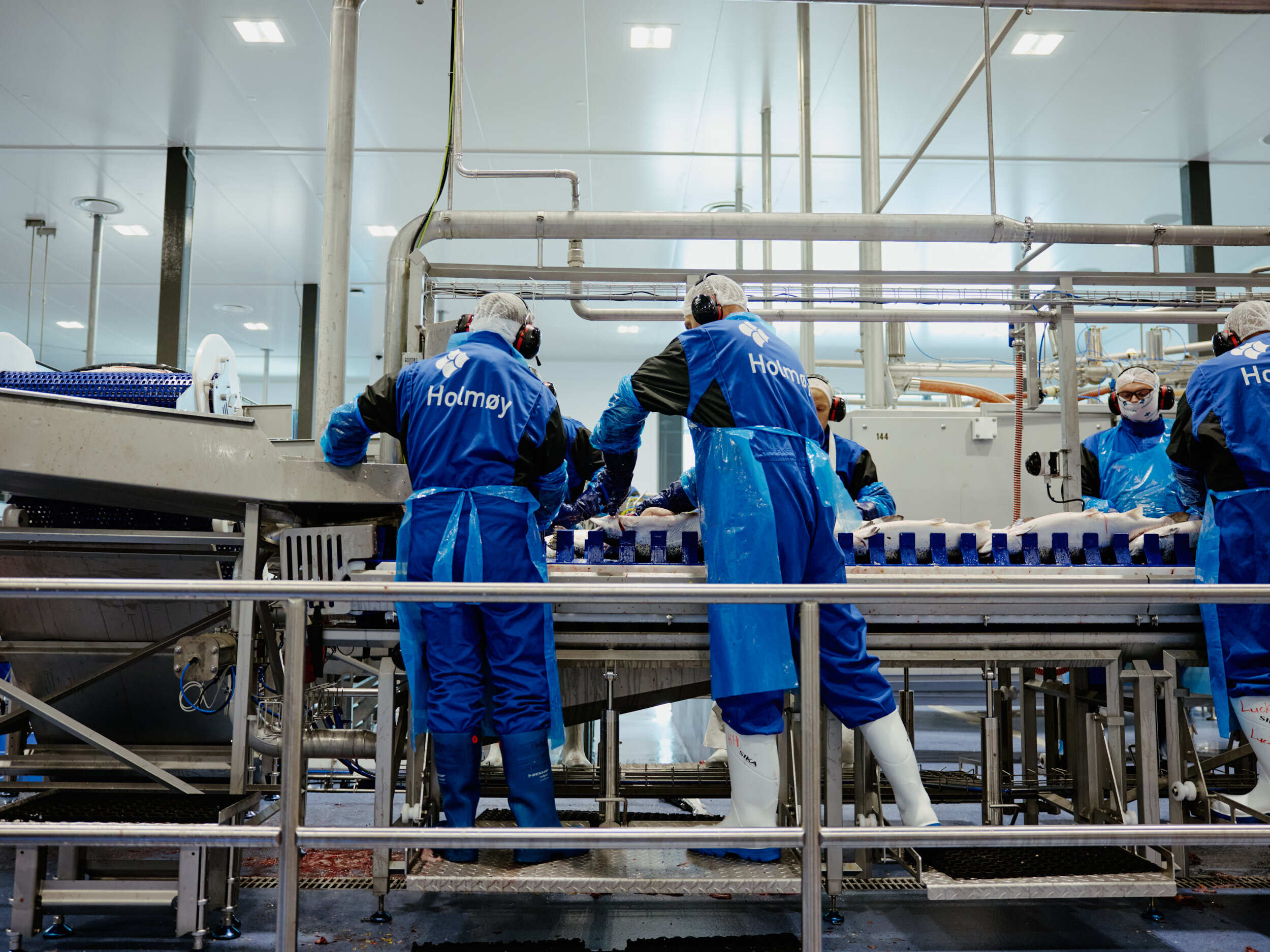 BJERKVIK HOLMEN Snohetta 0555 300724 WEB