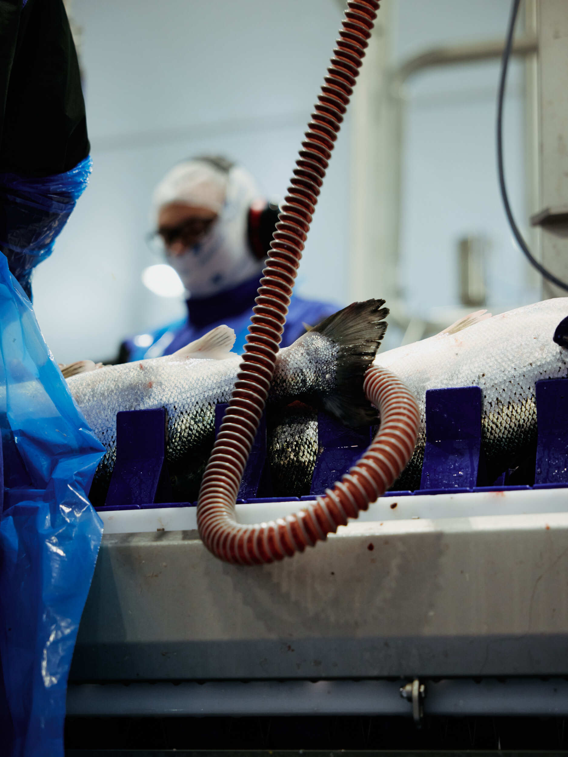 BJERKVIK HOLMEN Snohetta 0572 300724 WEB