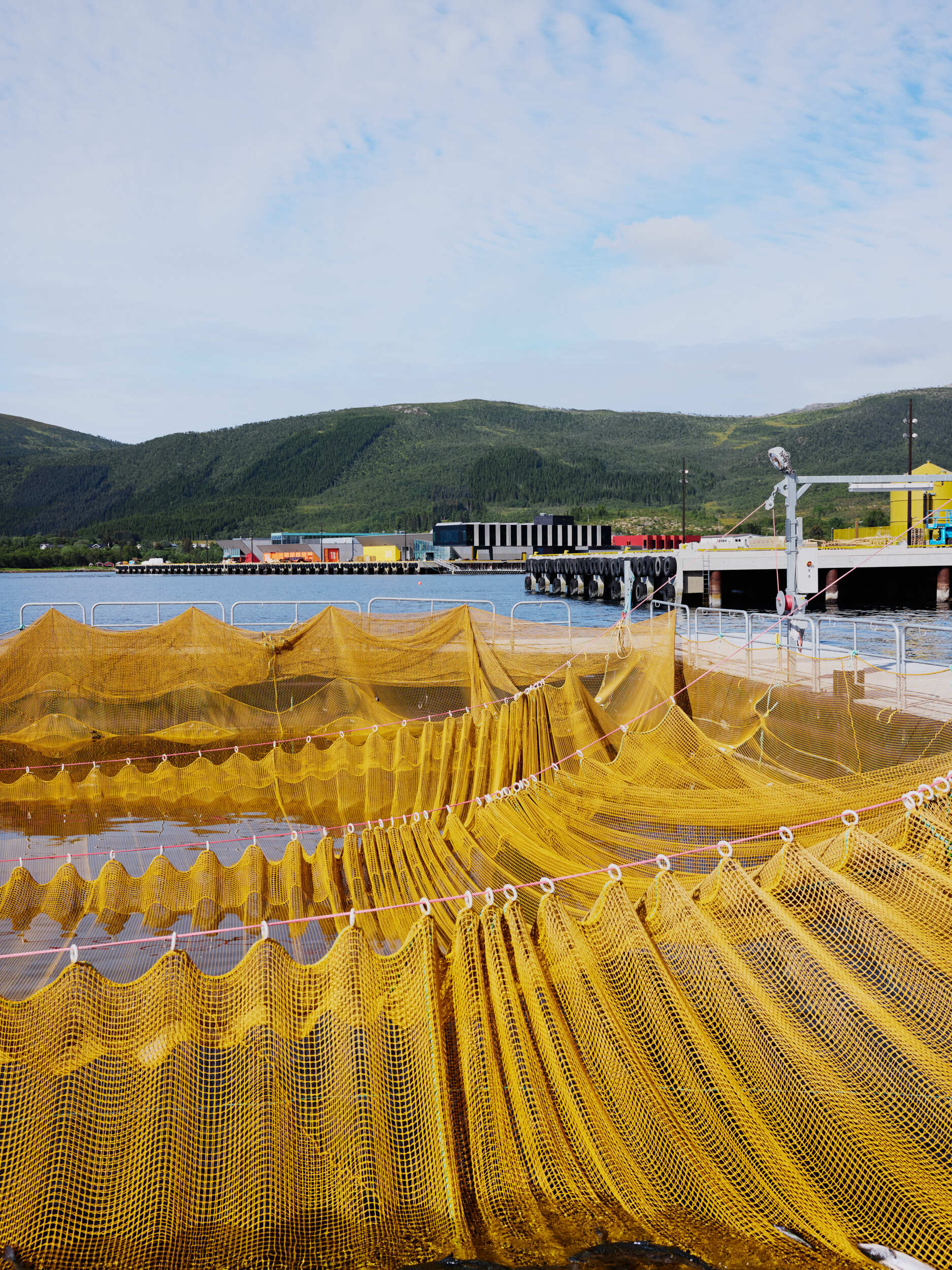 BJERKVIK HOLMEN Snohetta 0645 300724 WEB