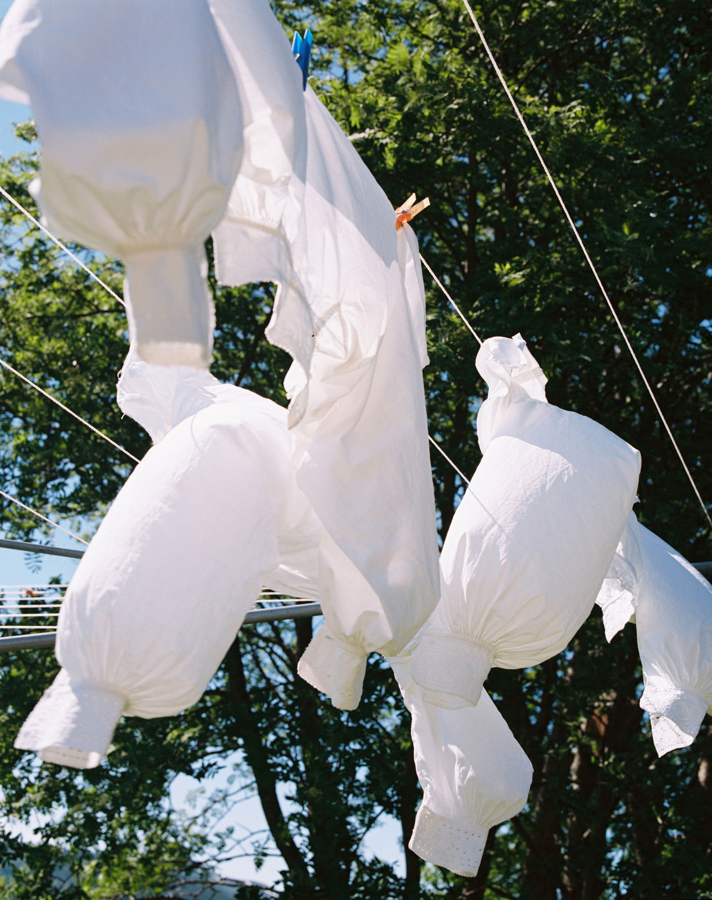 Signeluksengard leveld 03